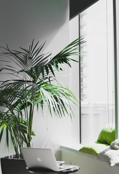 MacBook Pro near potted plant