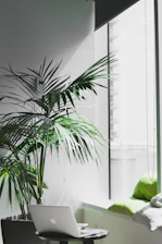 MacBook Pro near potted plant
