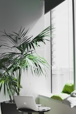 MacBook Pro near potted plant