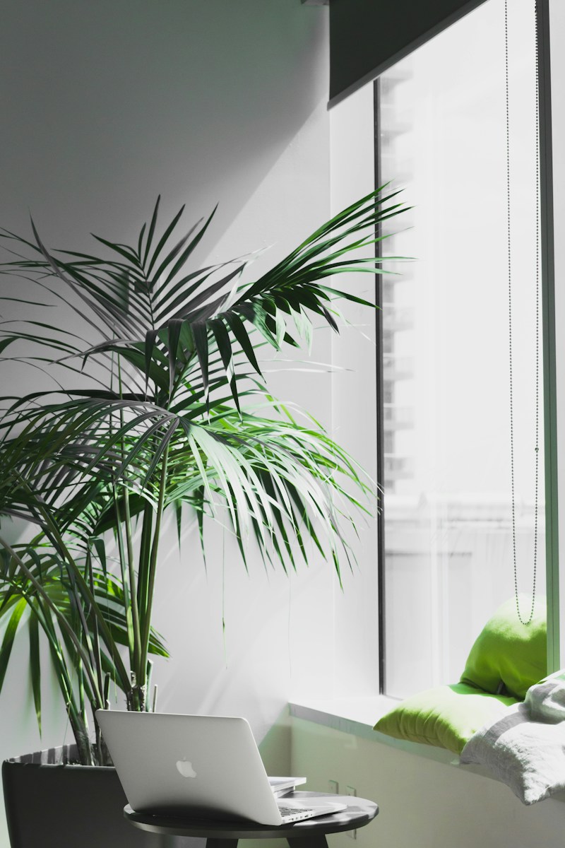 Sustainable well-being solutions