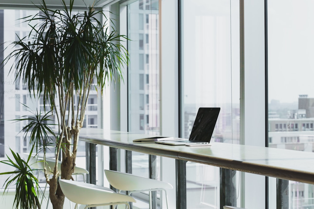 Office Cleaning Services