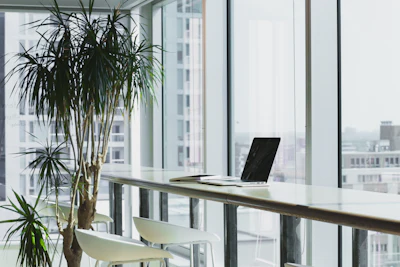 Coworking and Shared Space Setup: Security, Ergonomics, and Mobility