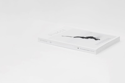 A sleek magazine lies on a white surface, titled 'Jungle 02.' The cover features an artistic black silhouette of a panther. It has a minimalist design with a focus on white space around the edges.