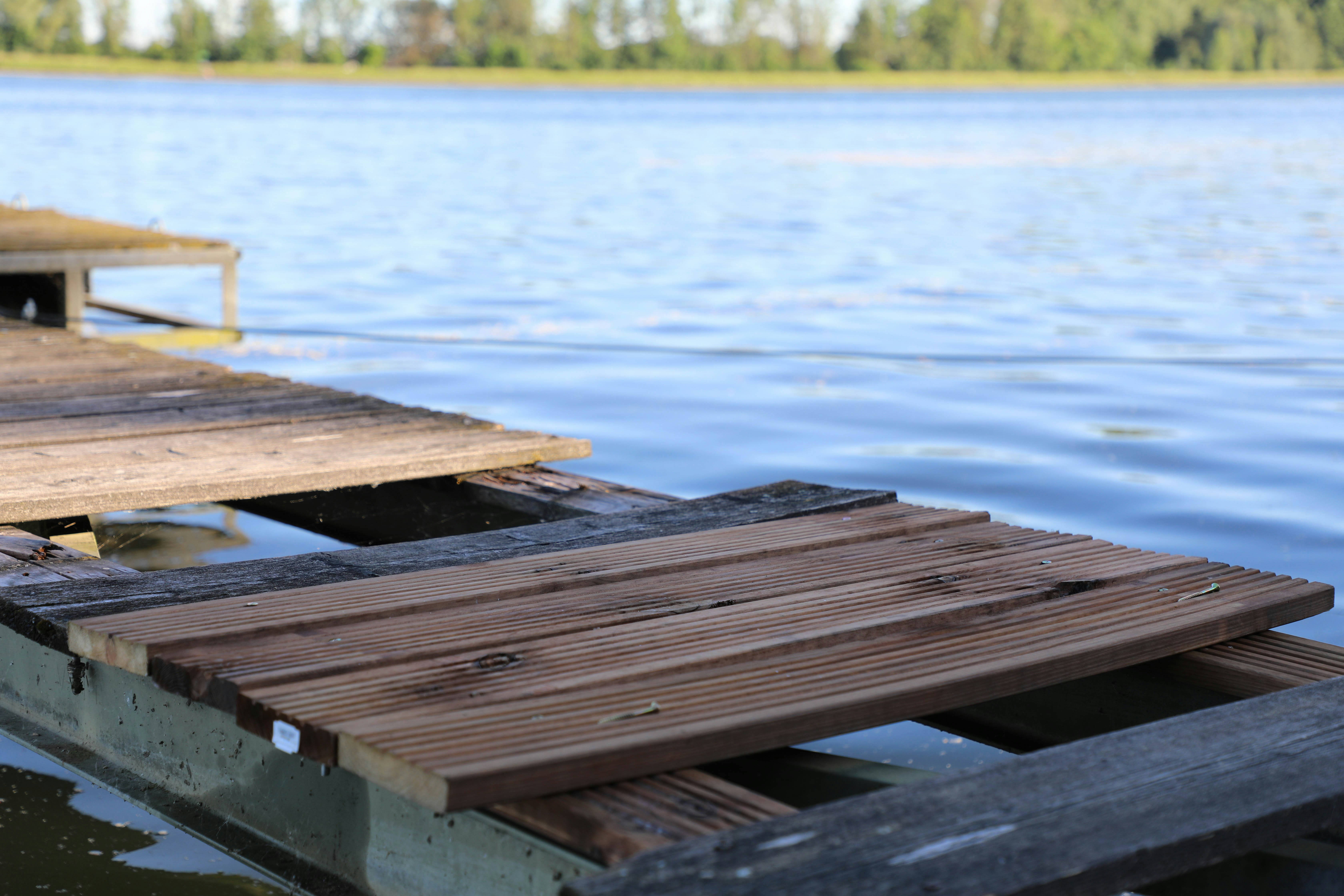 Free Unsplash photo from Arnold Toth