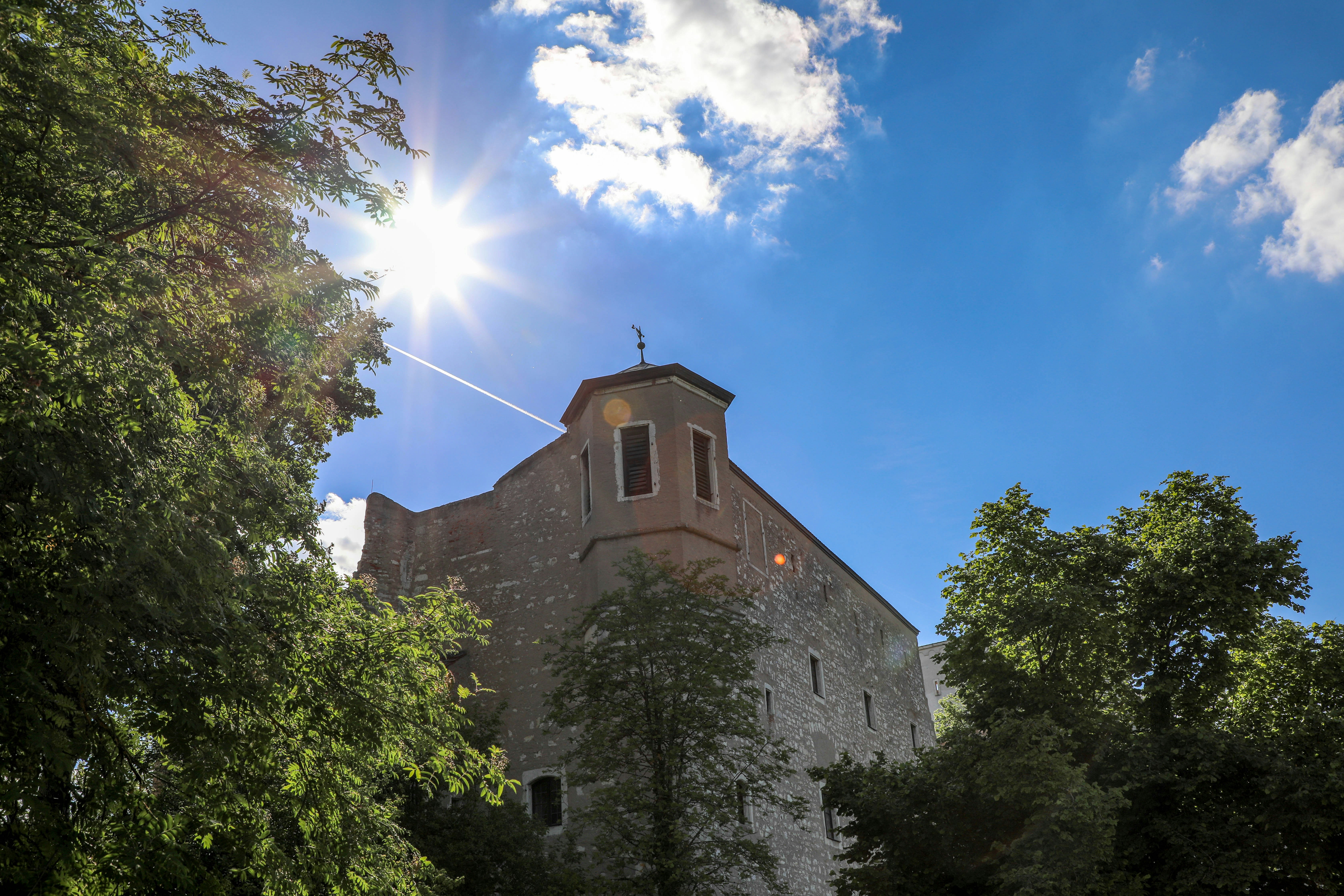 Free Unsplash photo from Arnold Toth