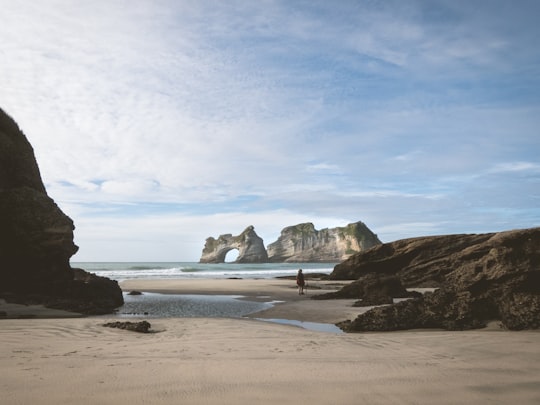 person walking on shoreline near body of water in Archway Islands New Zealand