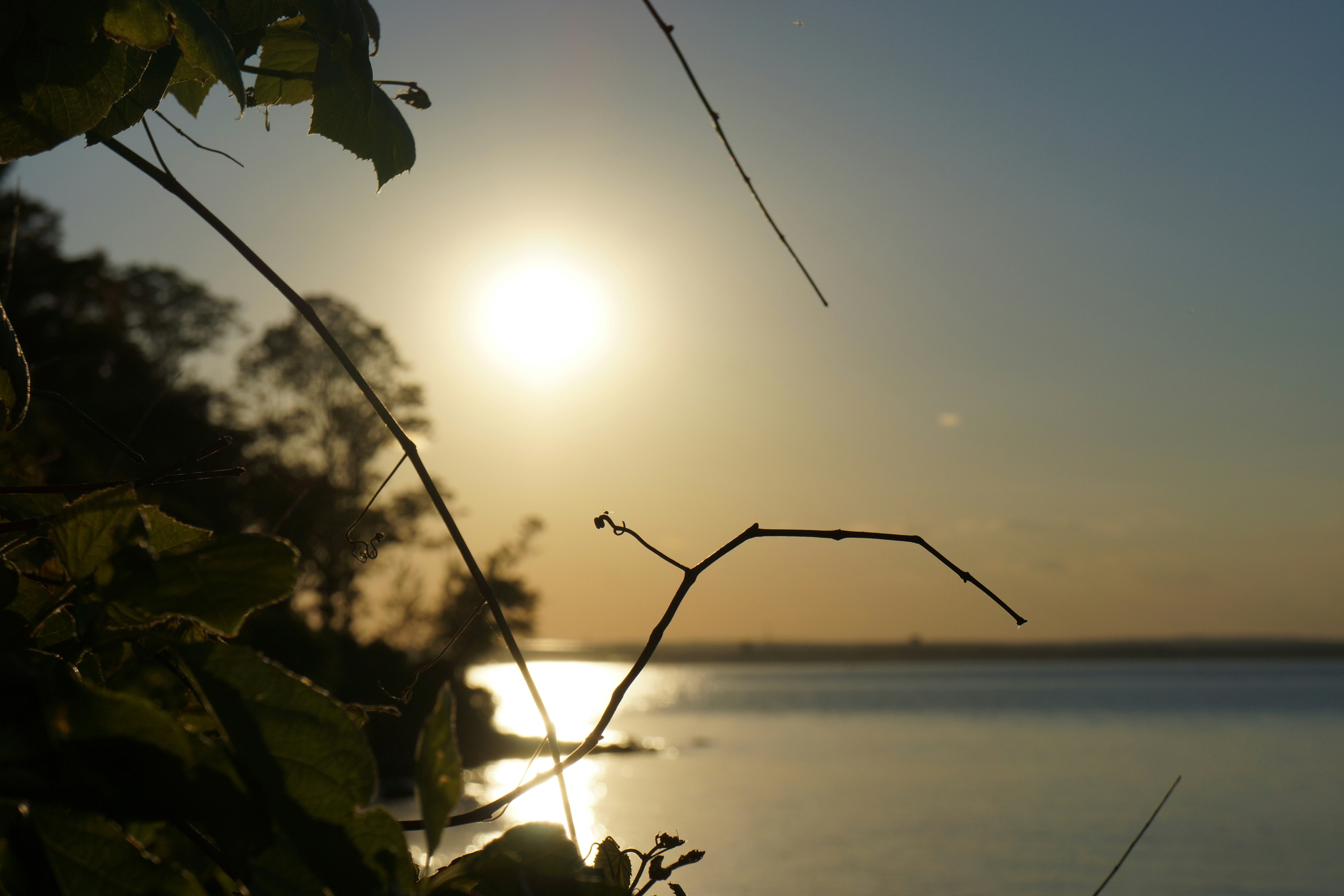 Free Unsplash photo from Jeremy Streich