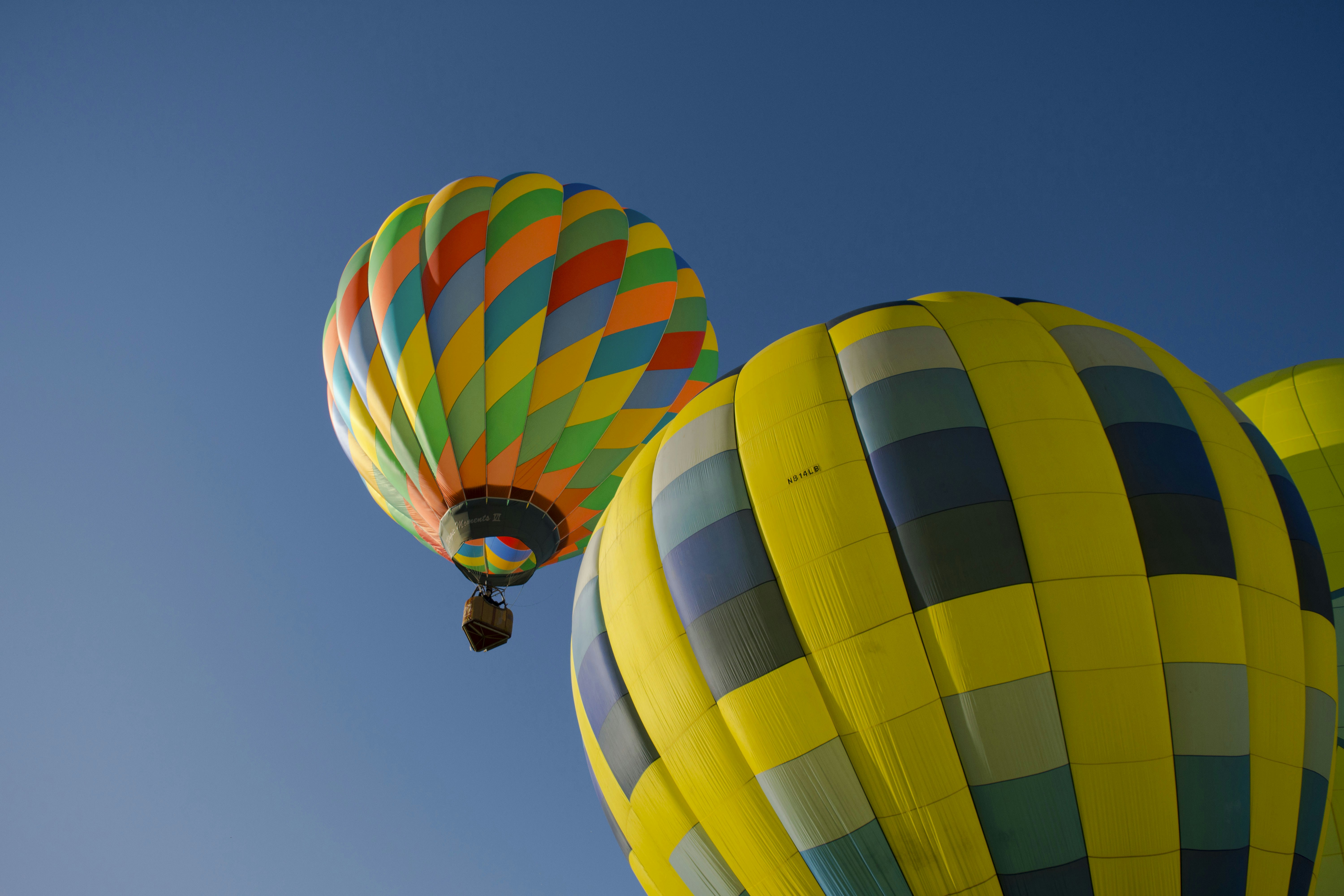 Free Unsplash photo from Megan Freeman