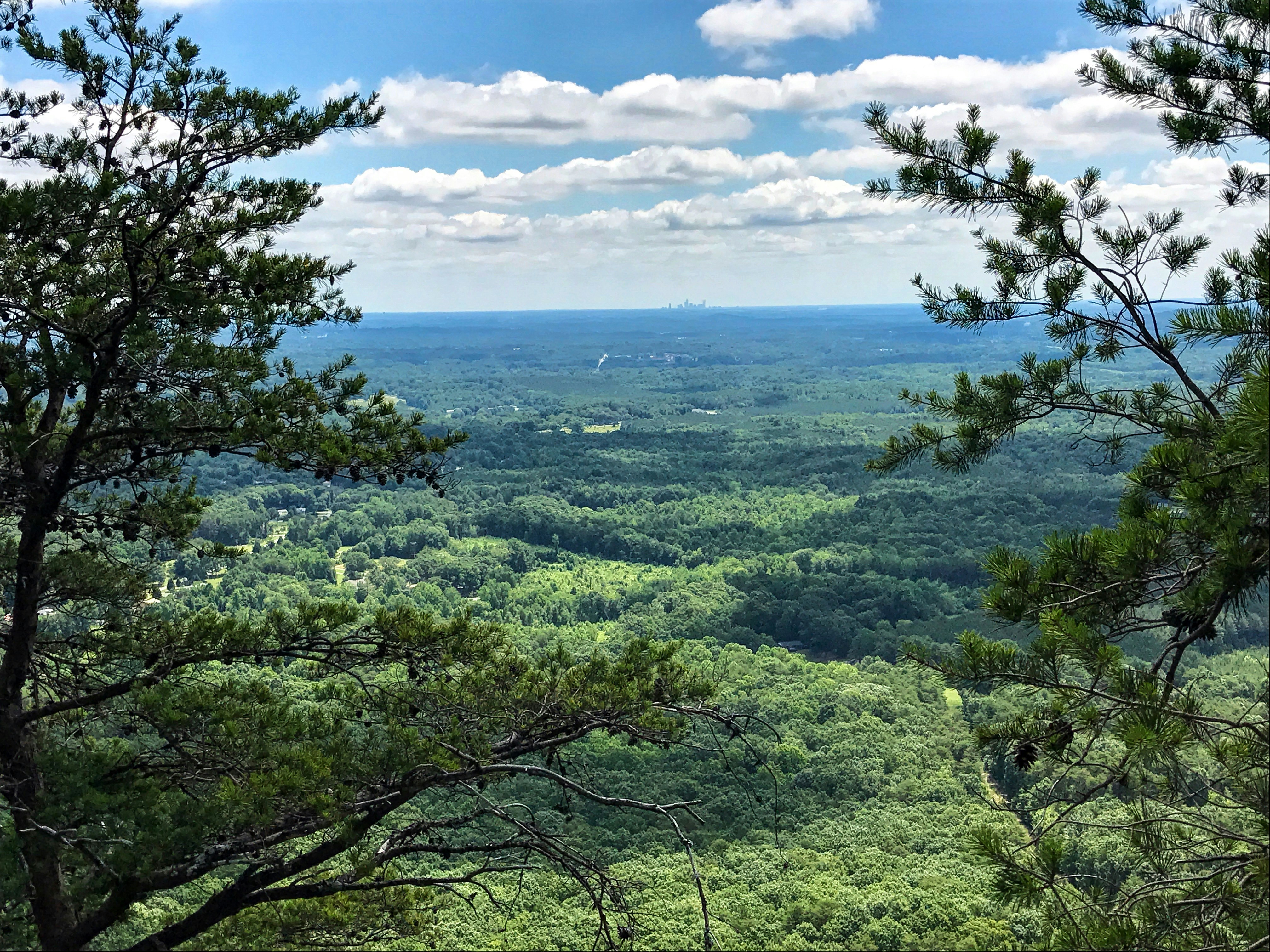 Free Unsplash photo from Richard Jones