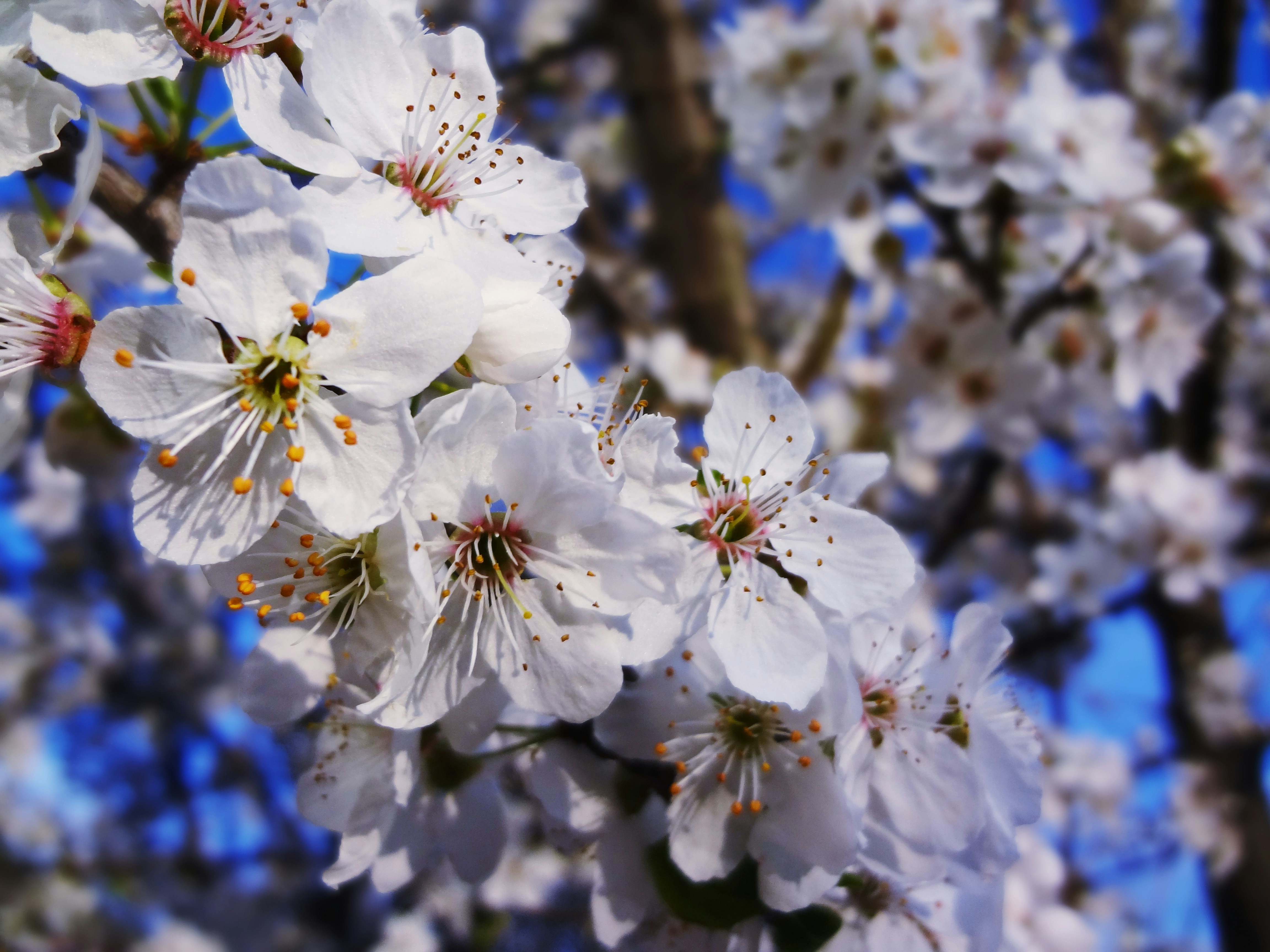 Free Unsplash photo from Moozy Khan