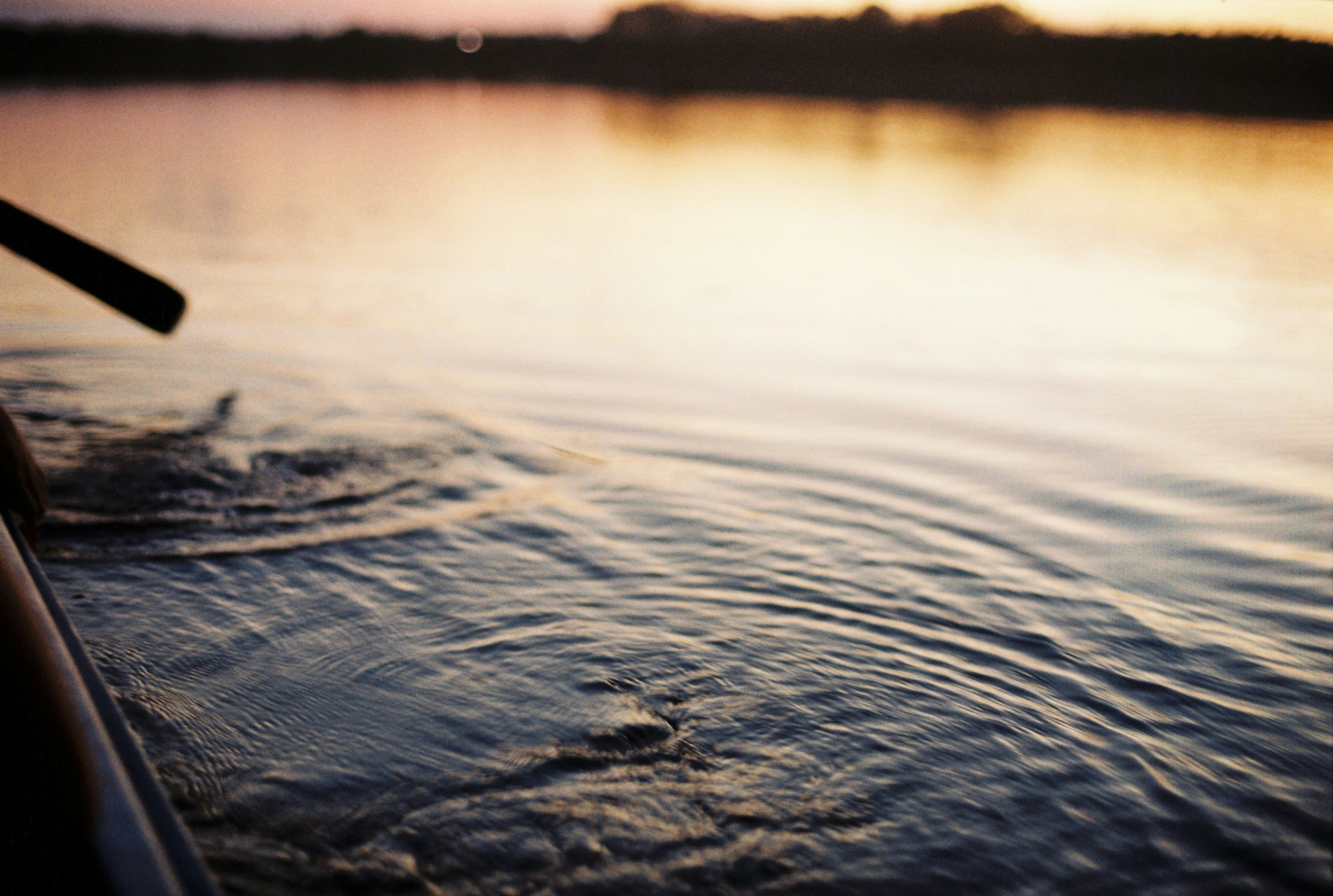 Free Unsplash photo from Anh Dũng Nguyễn