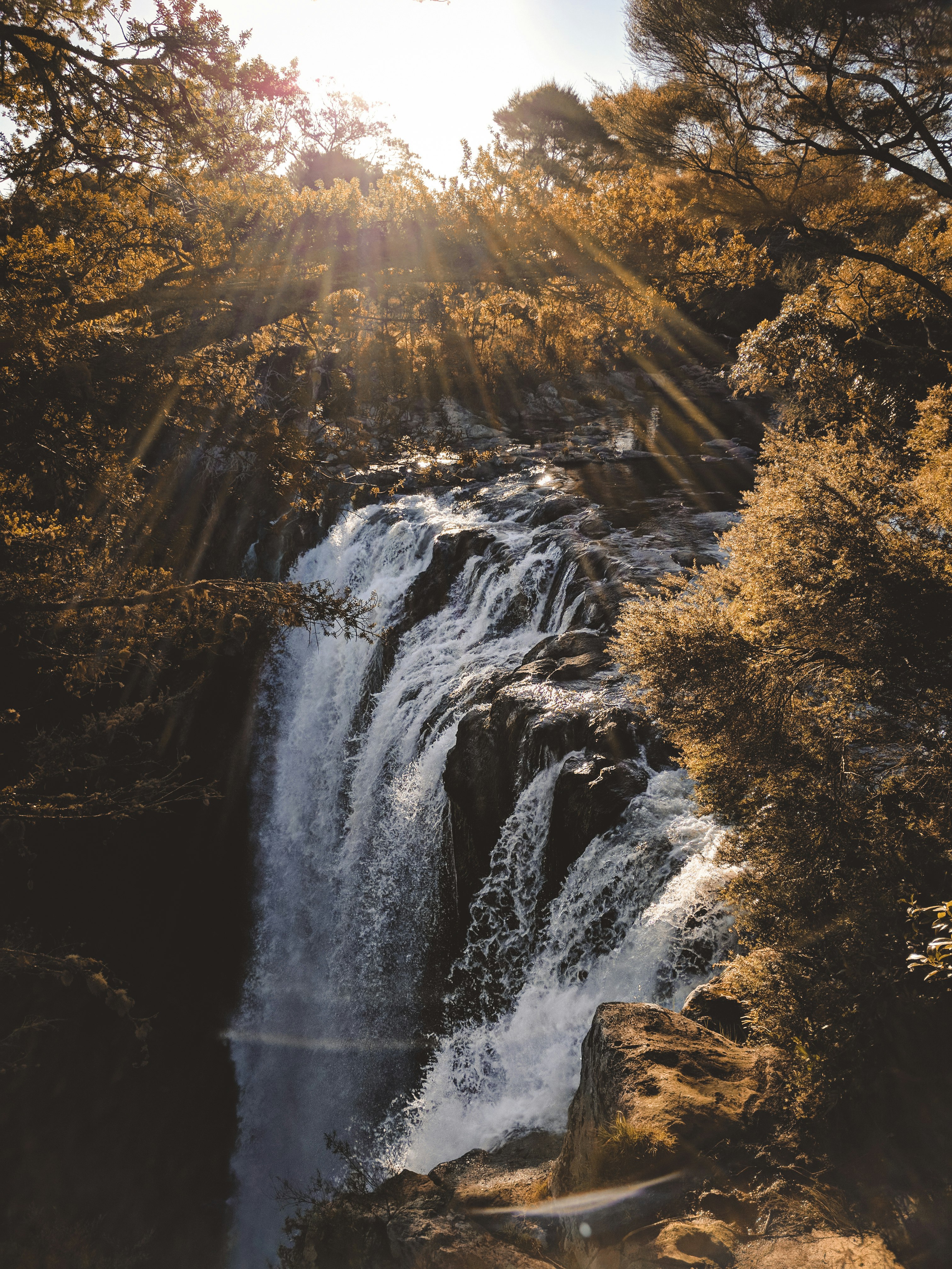 waterfalls surrounded by brown leaf trees during daytime