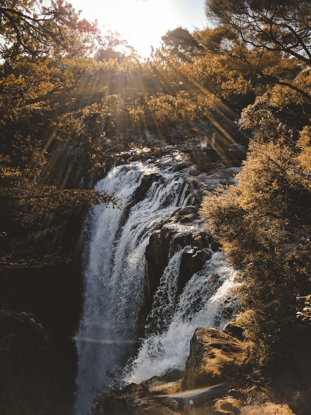 waterfalls surrounded by brown leaf trees during daytime