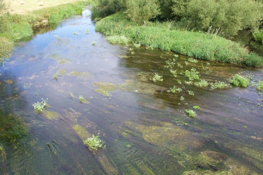 A technician installing a water quality sensor in a clear river surrounded by lush greenery.