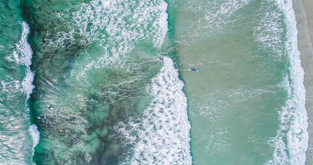 aerial photography of body of water