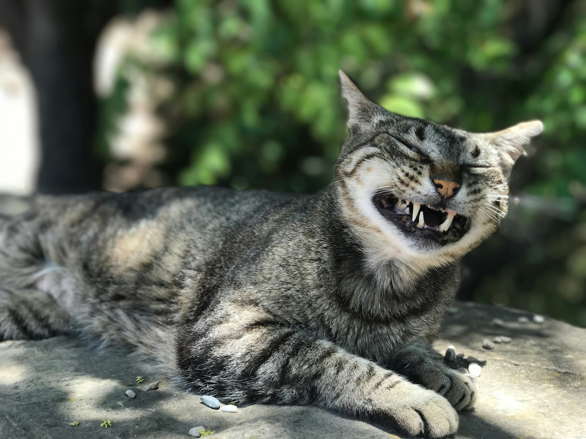 Free Unsplash photo from Arjan de Jong