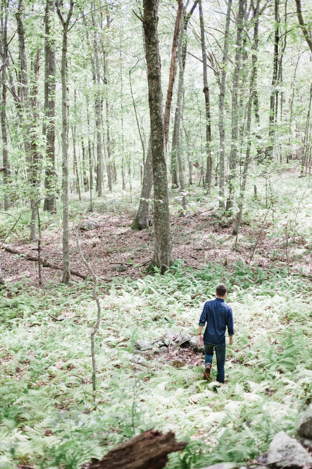 boy in blue jacket walking on forest during daytime