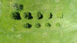 Before and after images showing a neatly trimmed grassy field in Kuki City.