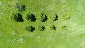 Before and after images showing a neatly trimmed grassy field in Kuki City.