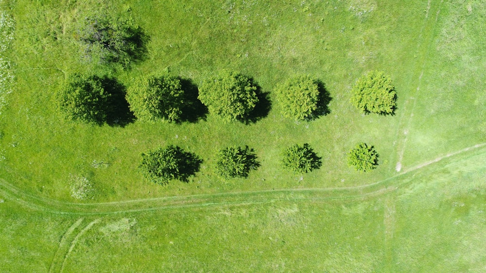 aerial photography of gree meadows