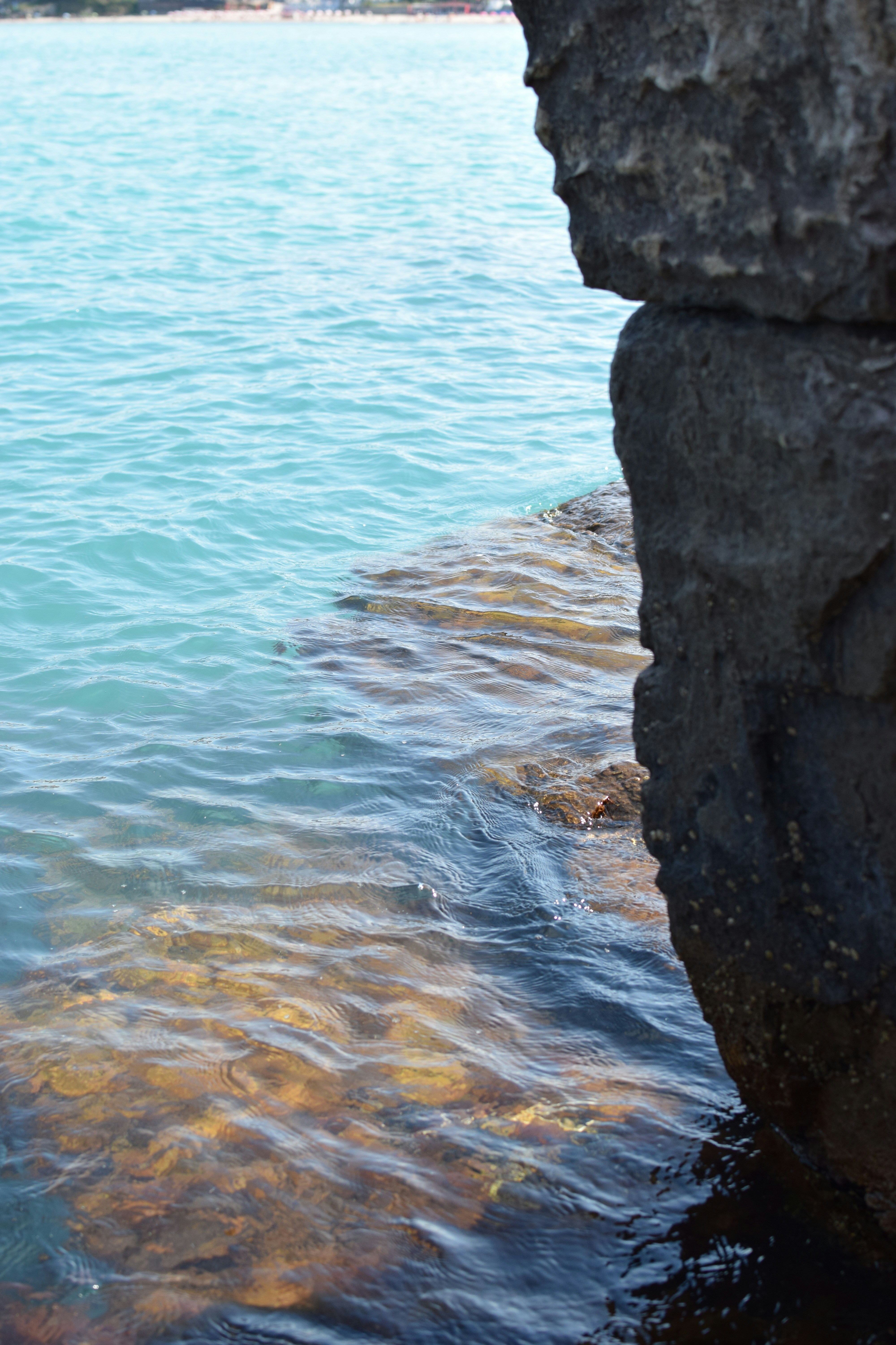 Free Unsplash photo from Yaroslava Hristova