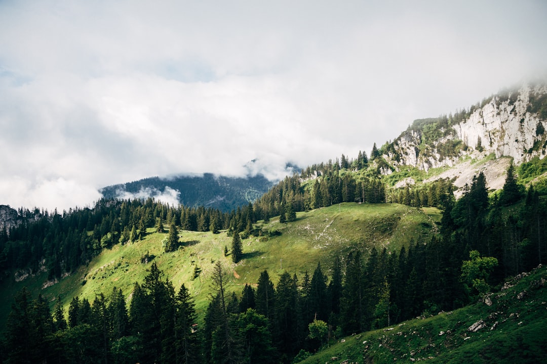 Hill station photo spot Sonnenalm Kampenwand Berchtesgaden National Park