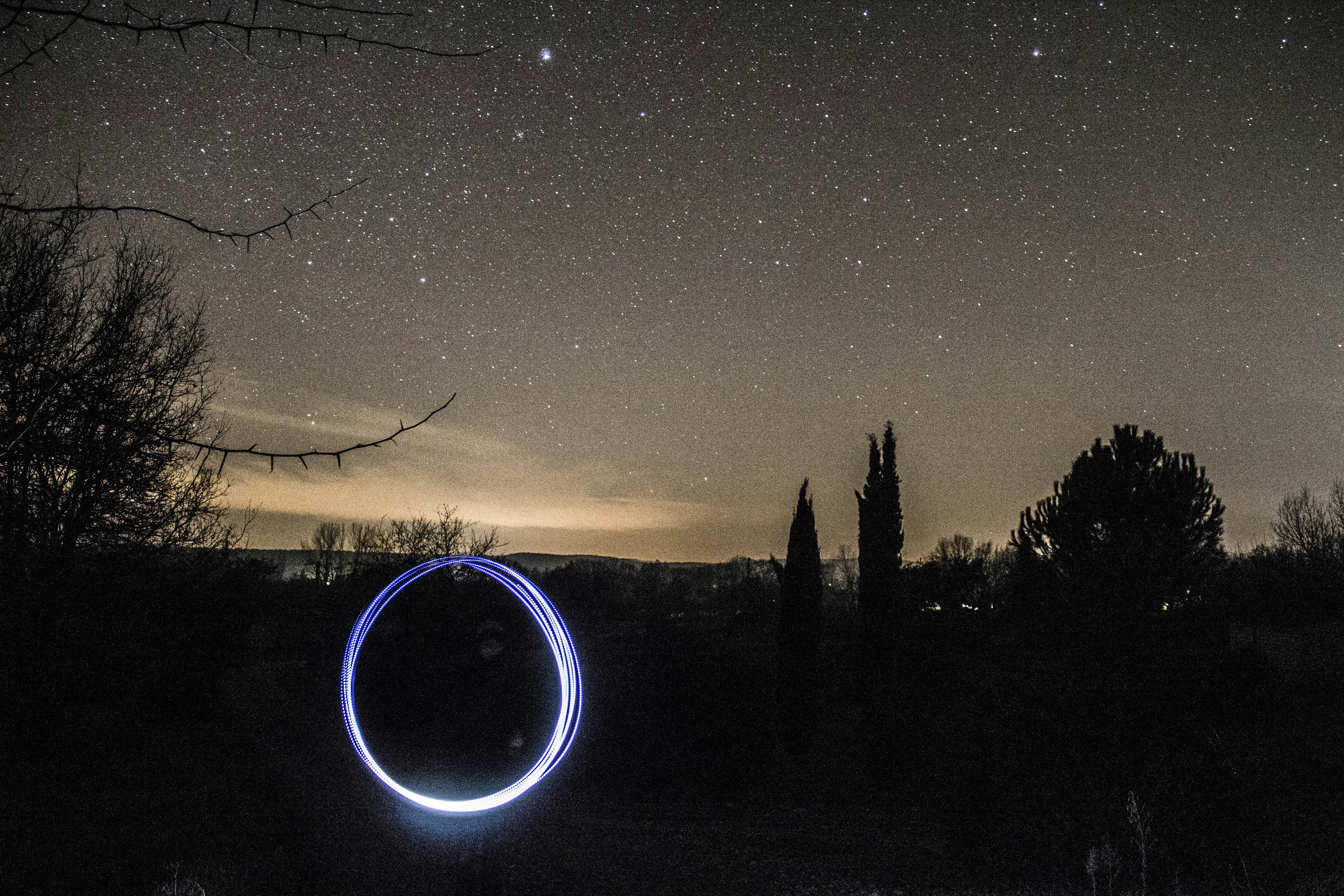 silhouette of forest landscape under nightsky