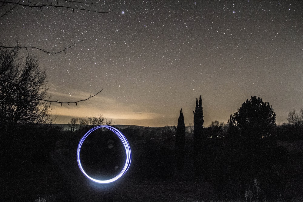 silhouette of forest landscape under nightsky