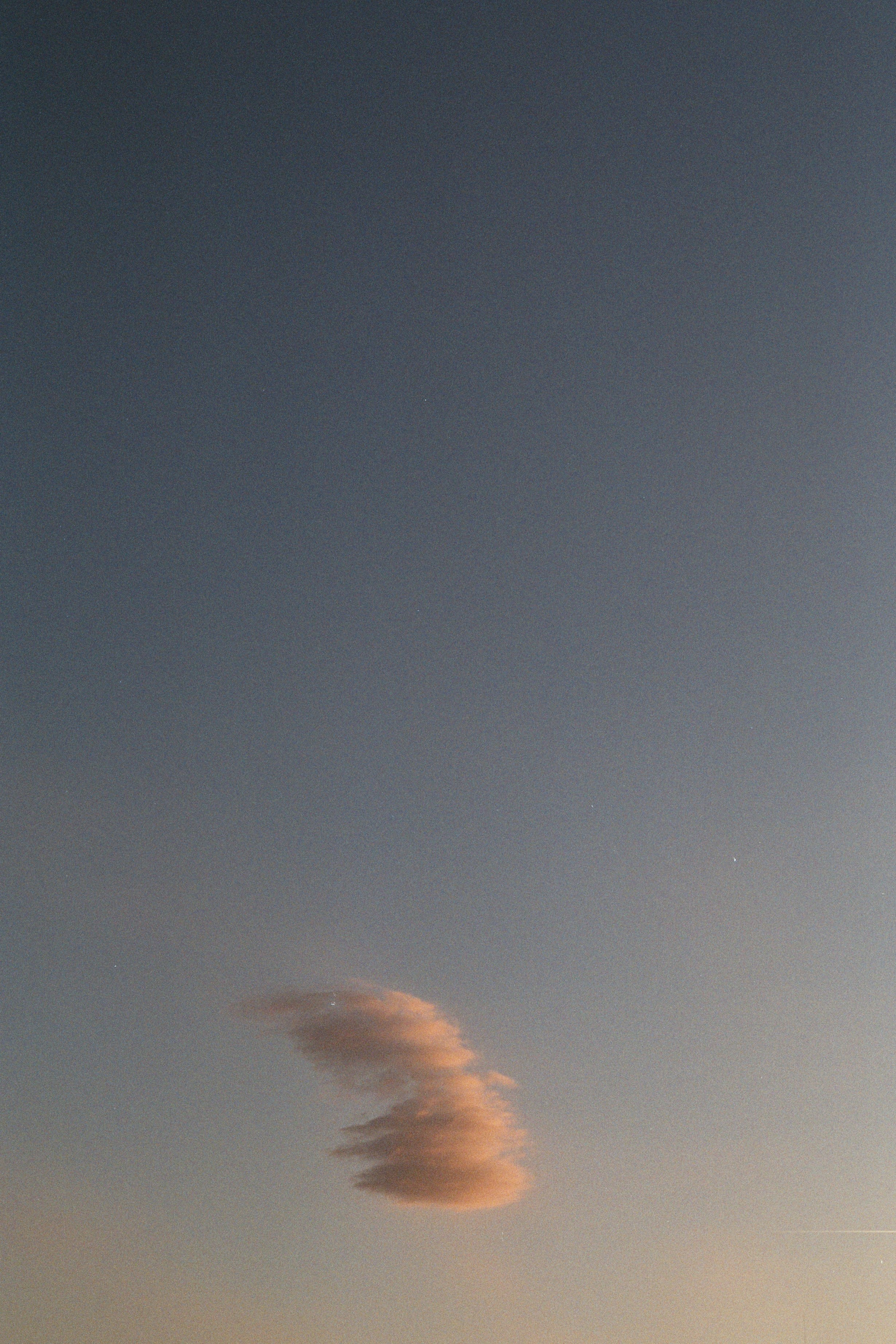 Free Unsplash photo from George Bonev