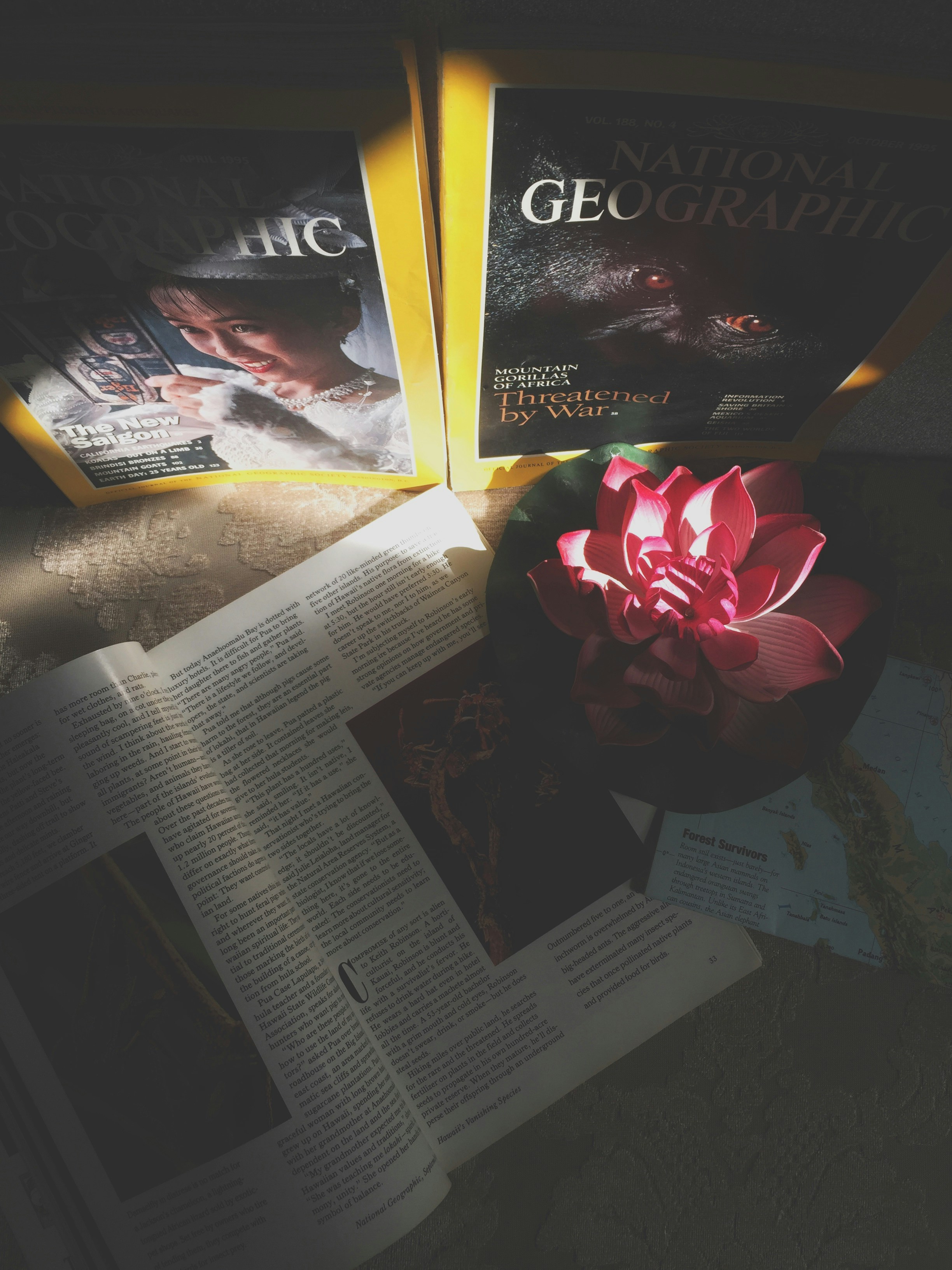 Free Unsplash photo from Nidhil Amen