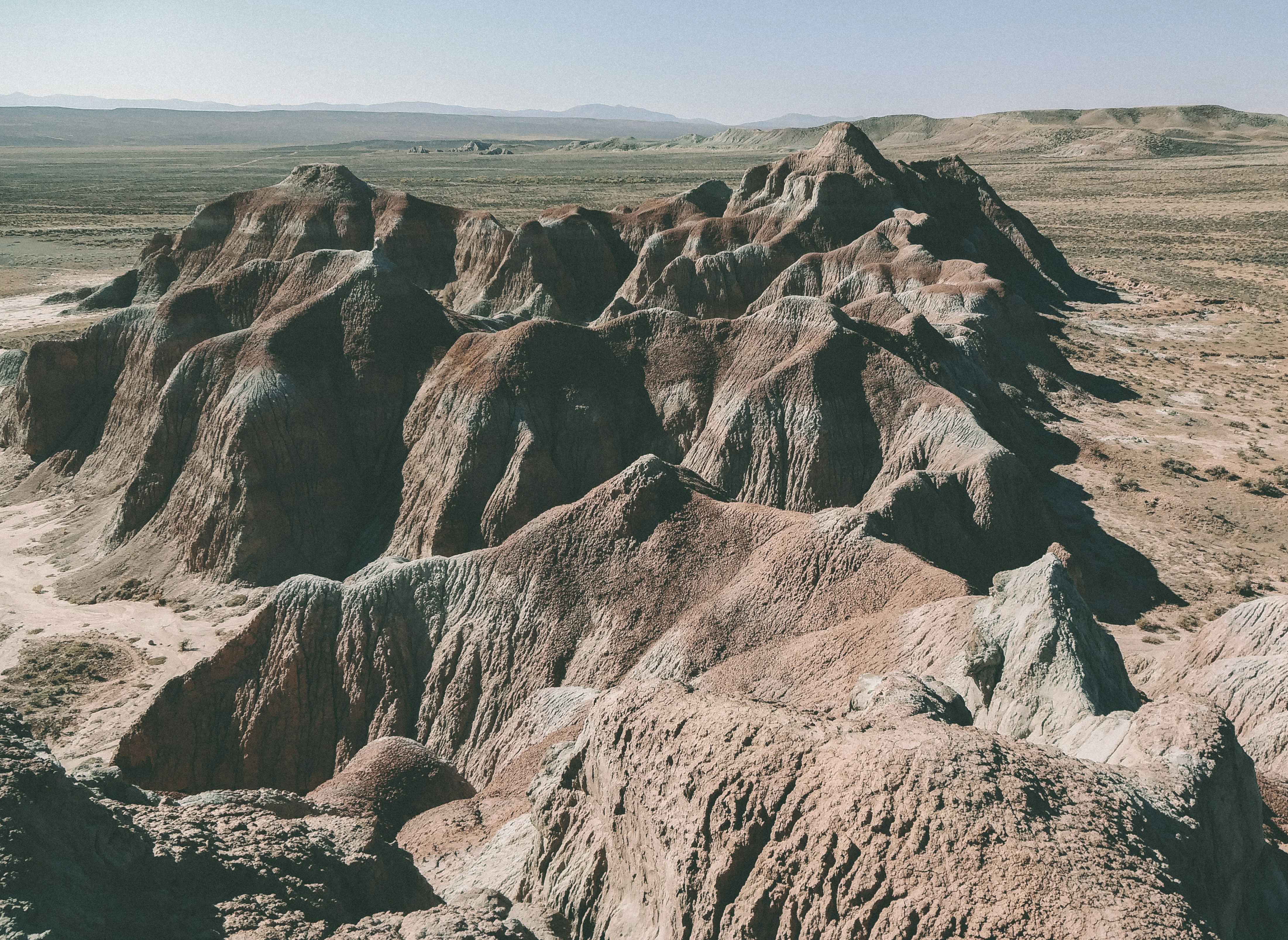 Free Unsplash photo from George Bonev