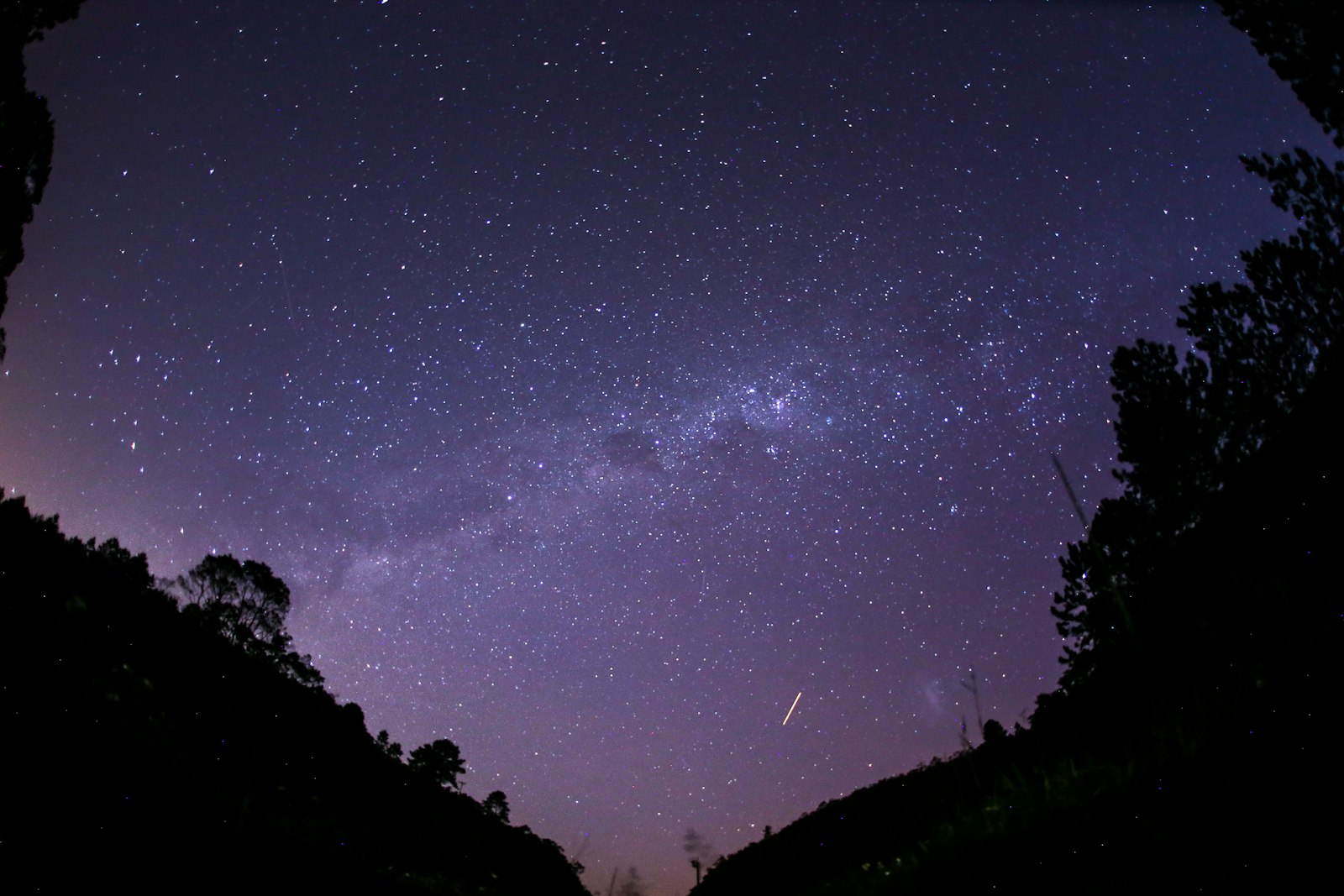Sigma 15mm F2.8 EX DG Diagonal Fisheye sample photo. Milky way above forest photography