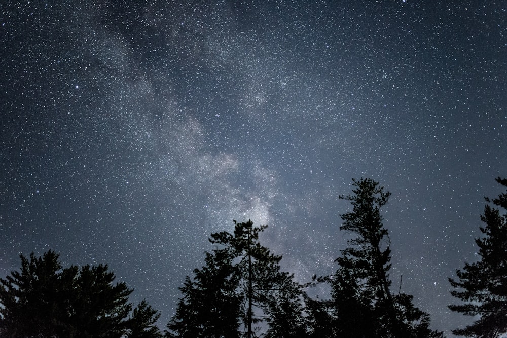 low angle of starry sky