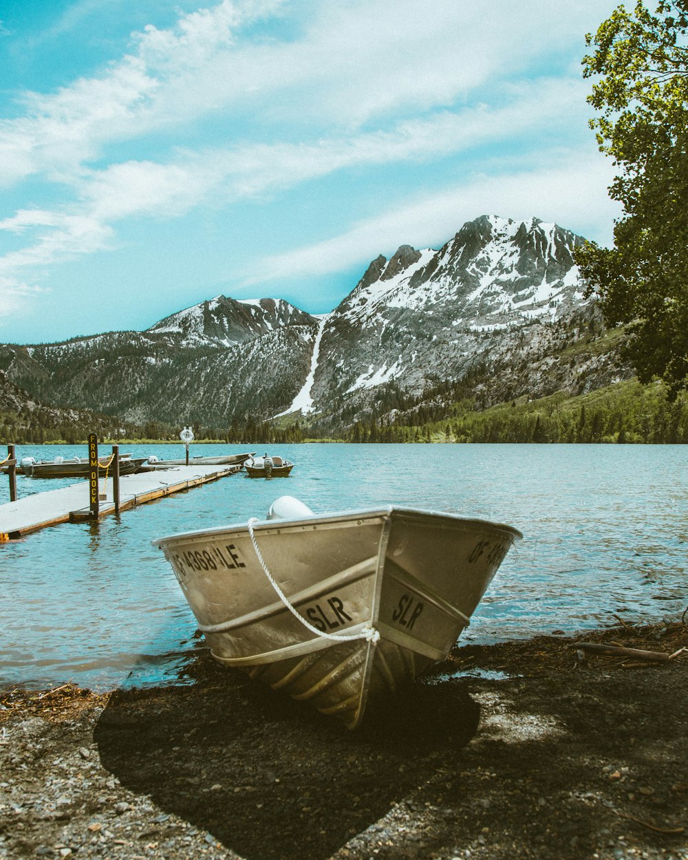 white outboard boat on beach shore