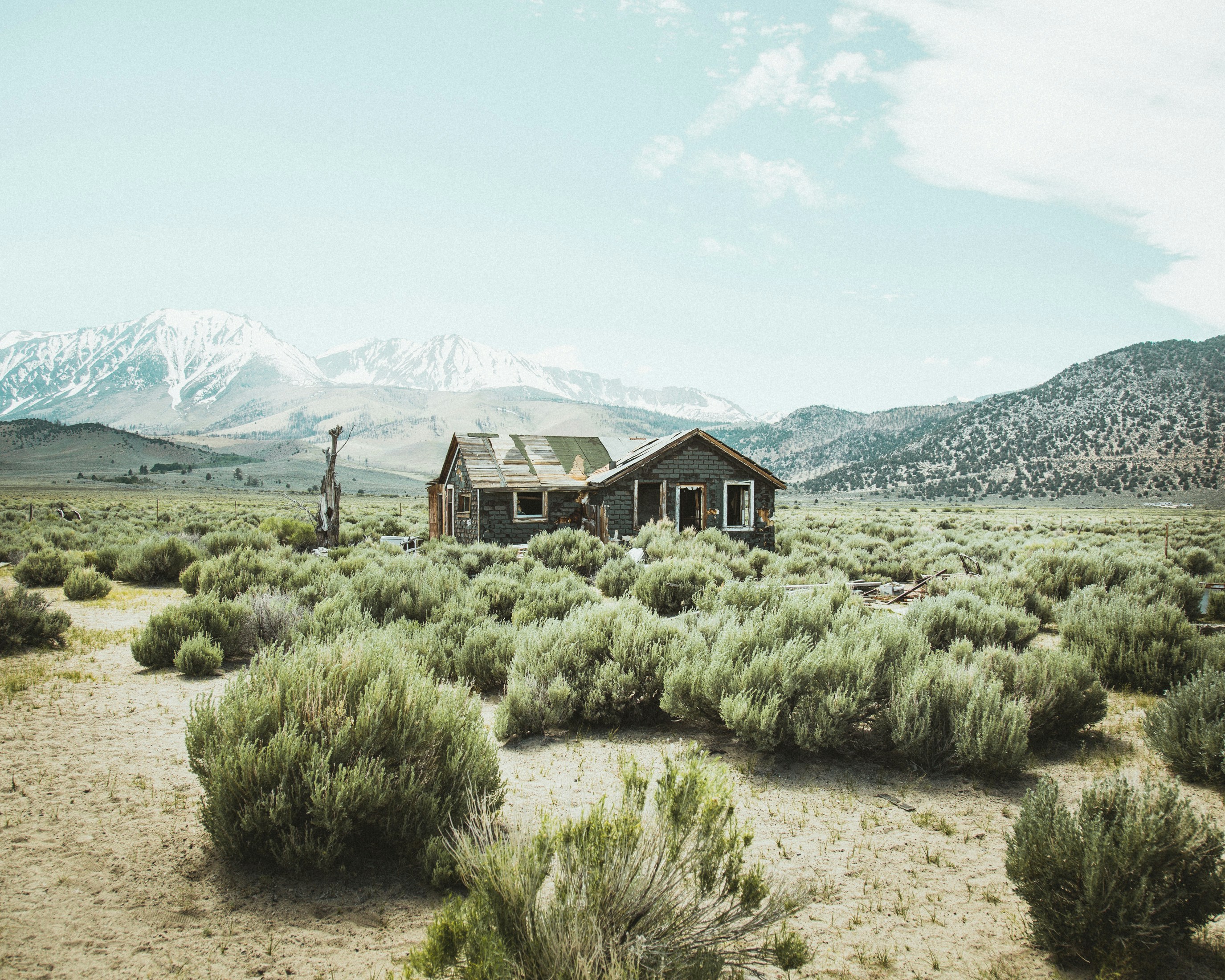 Free Unsplash photo from Dane Deaner