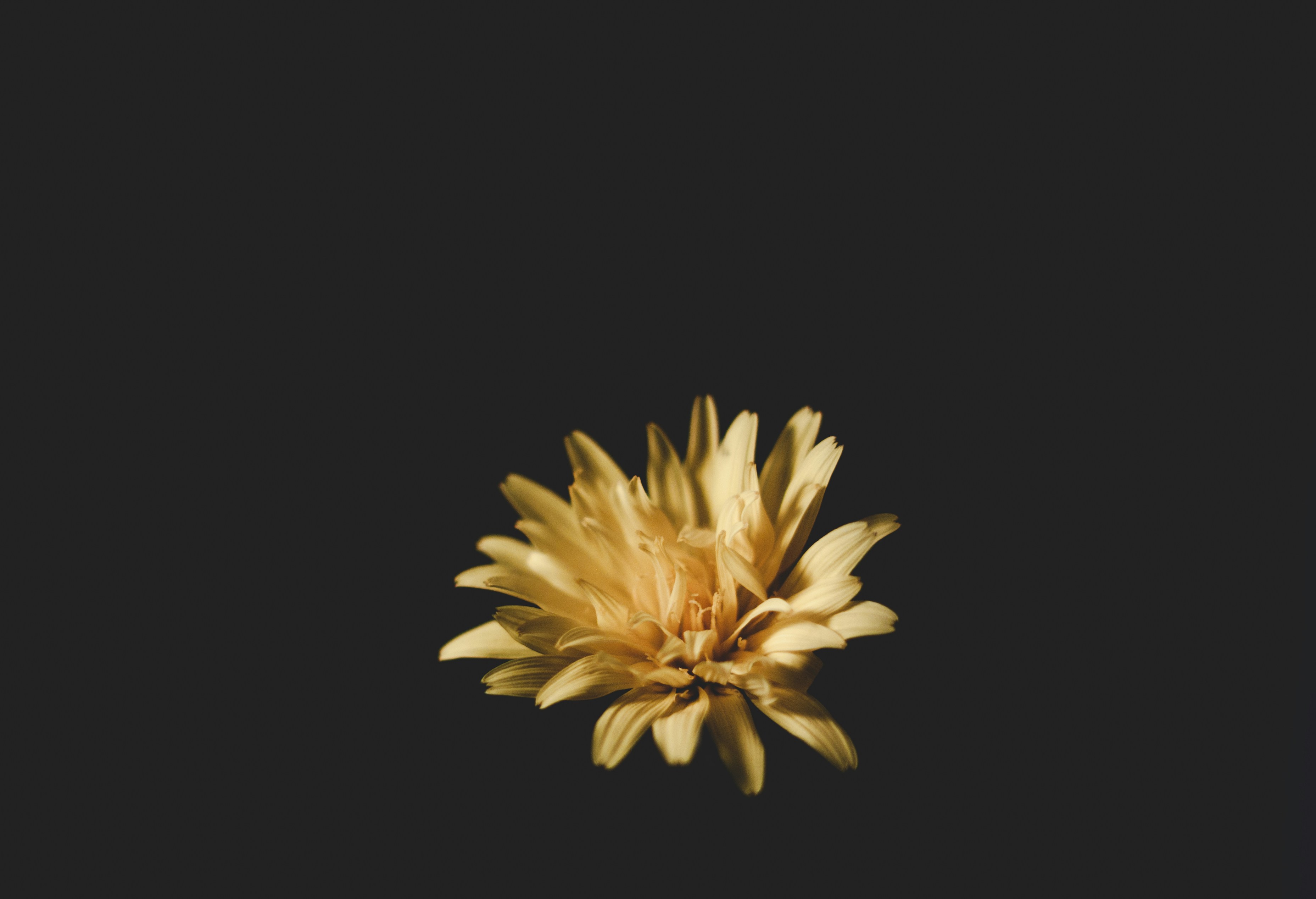 Free Unsplash photo from Francisco  Moreno