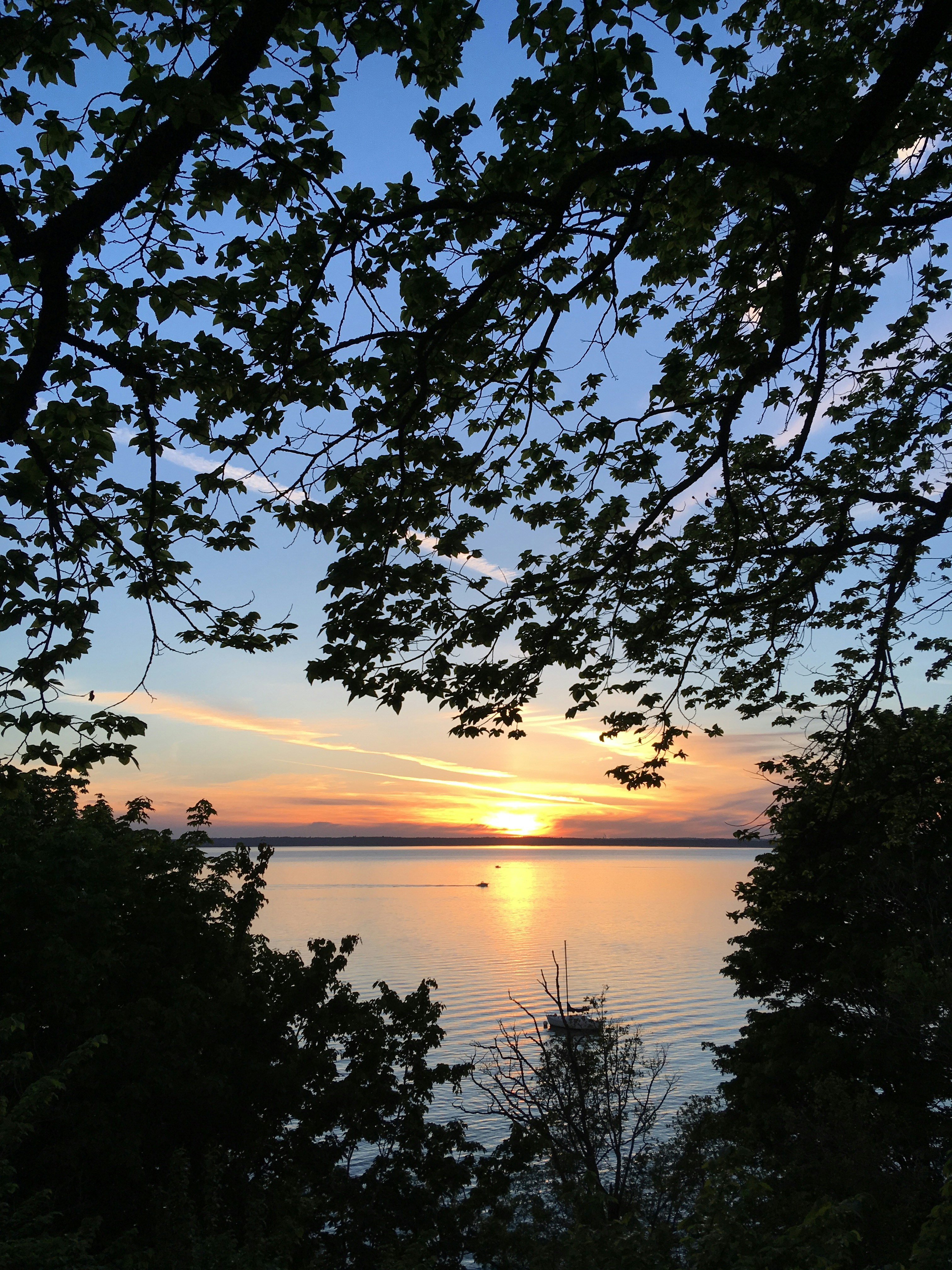 Free Unsplash photo from Alyson Indrunas