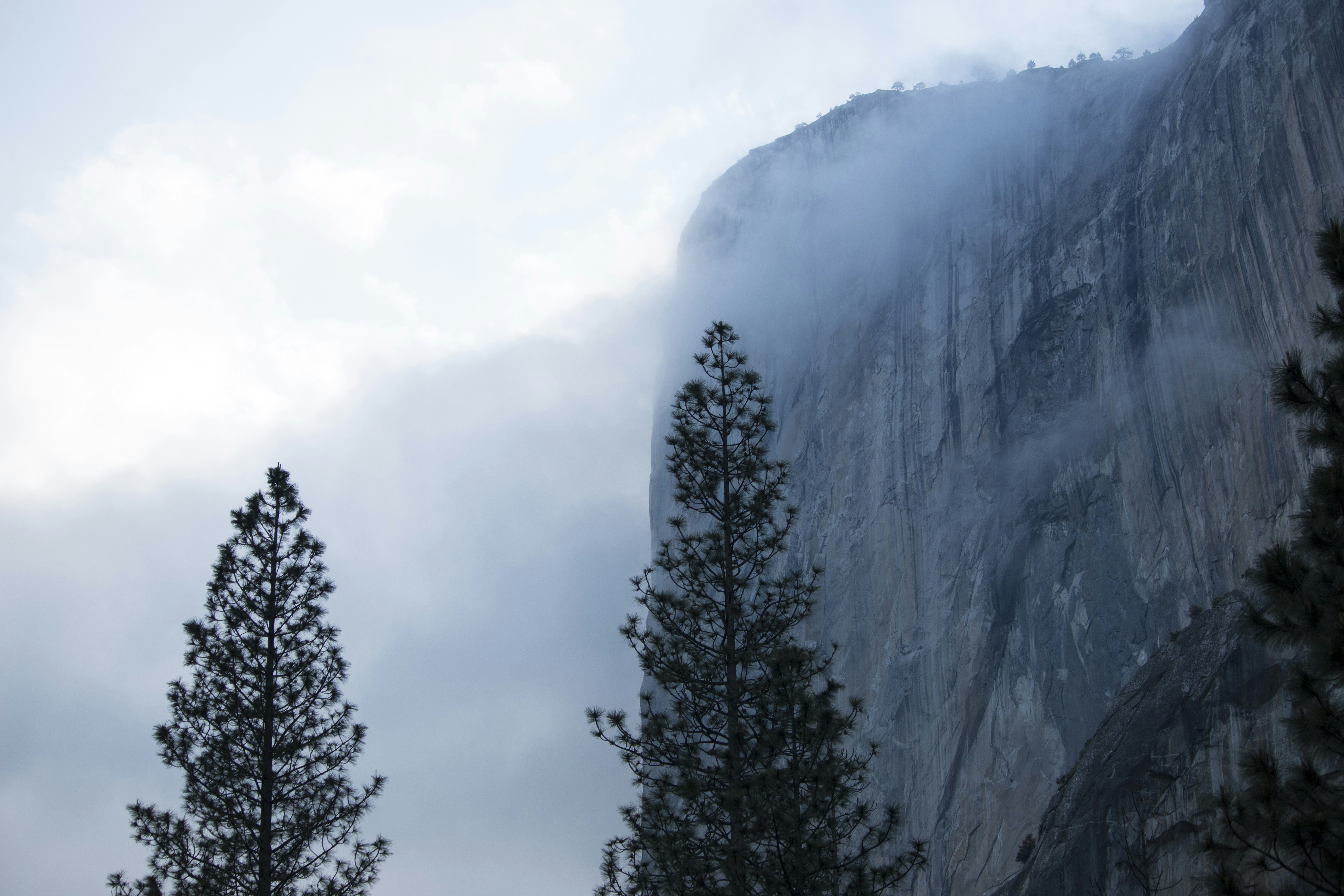 Free Unsplash photo from Nick Saxby