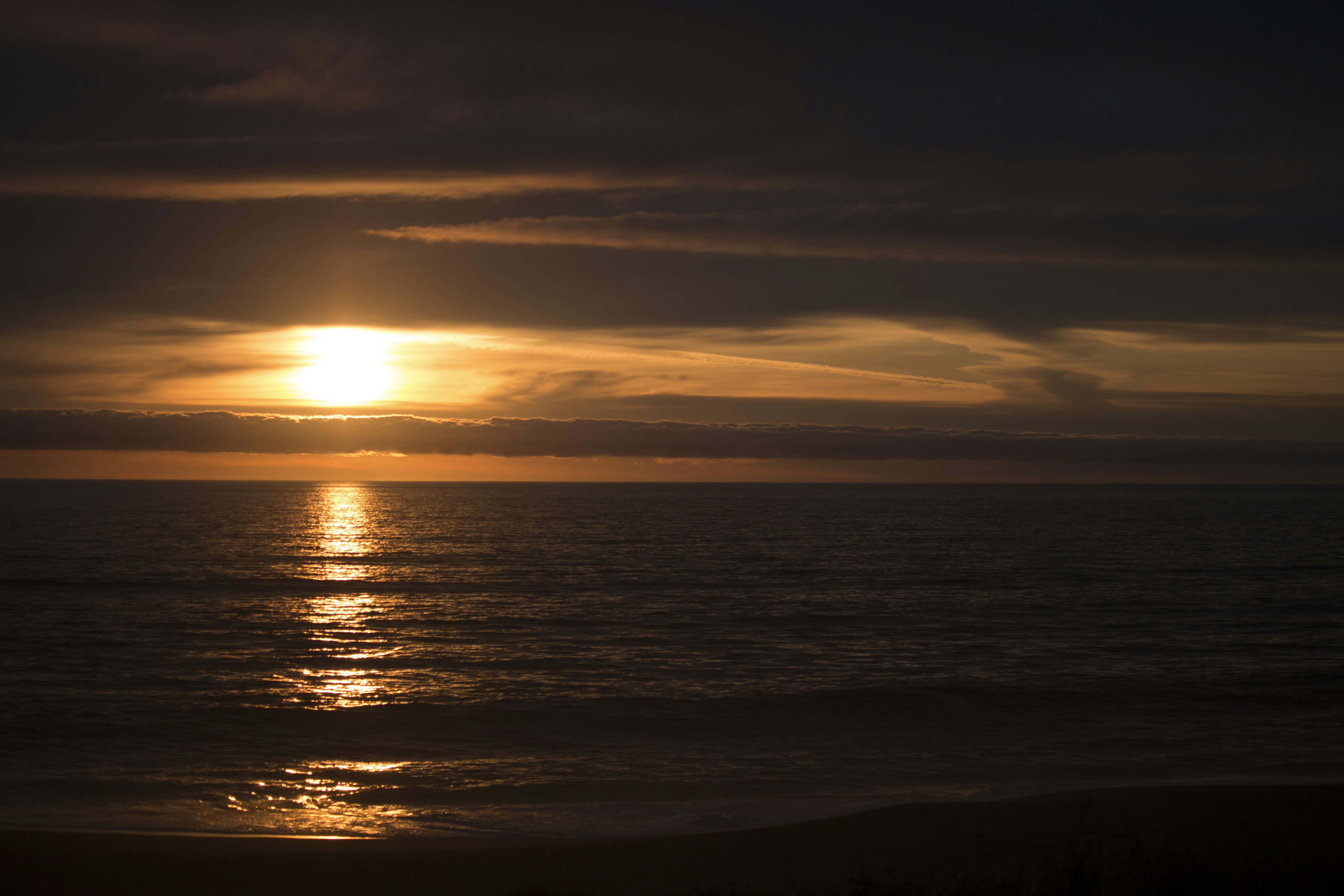 Free Unsplash photo from Nick Saxby