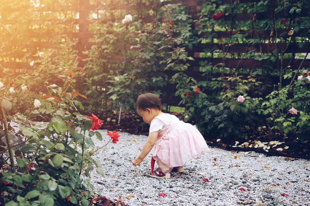 Cute baby picks up rose petals along a stone garden path