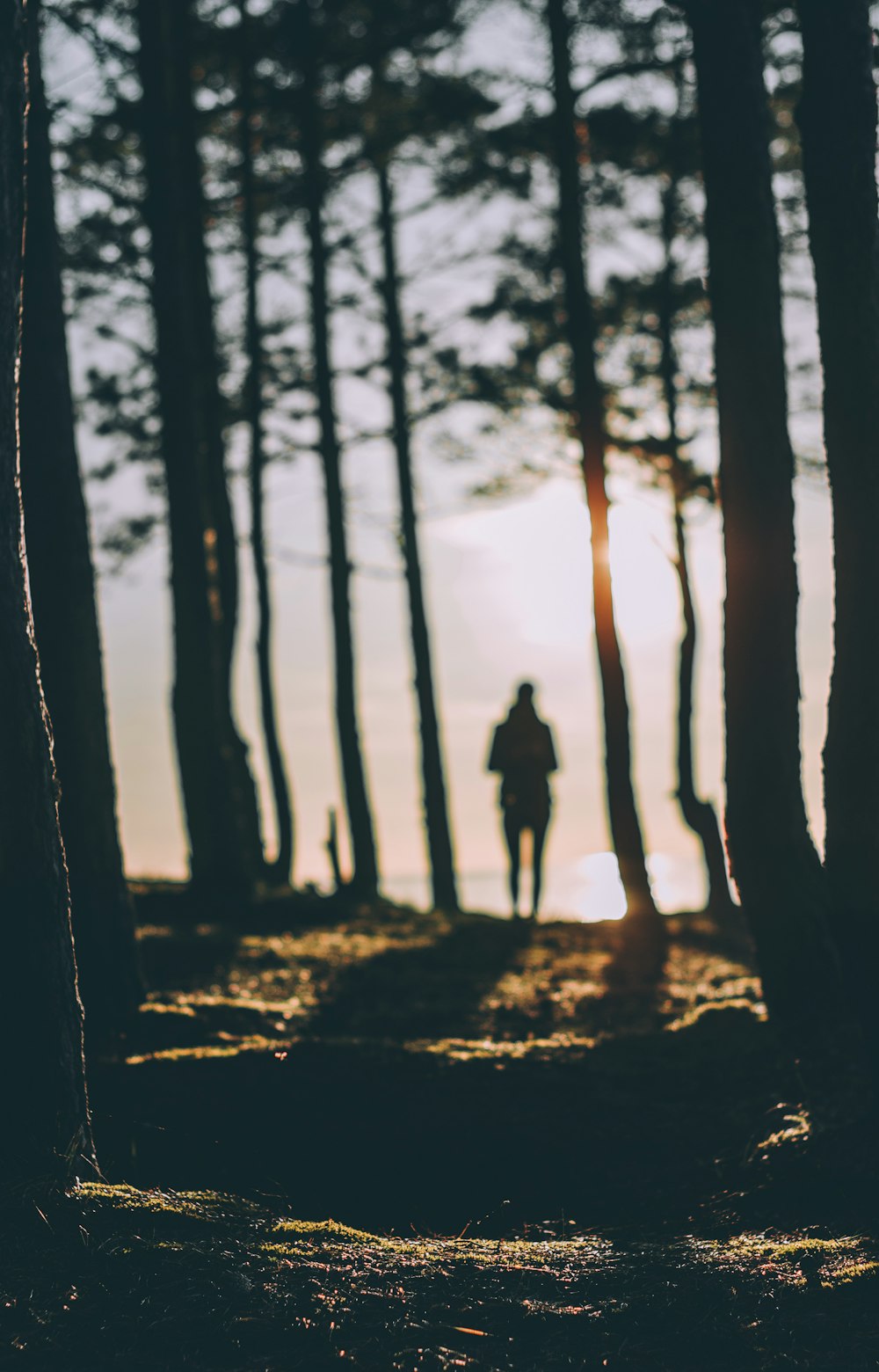 Silhouette einer Person, die tagsüber in der Nähe eines Gewässers steht