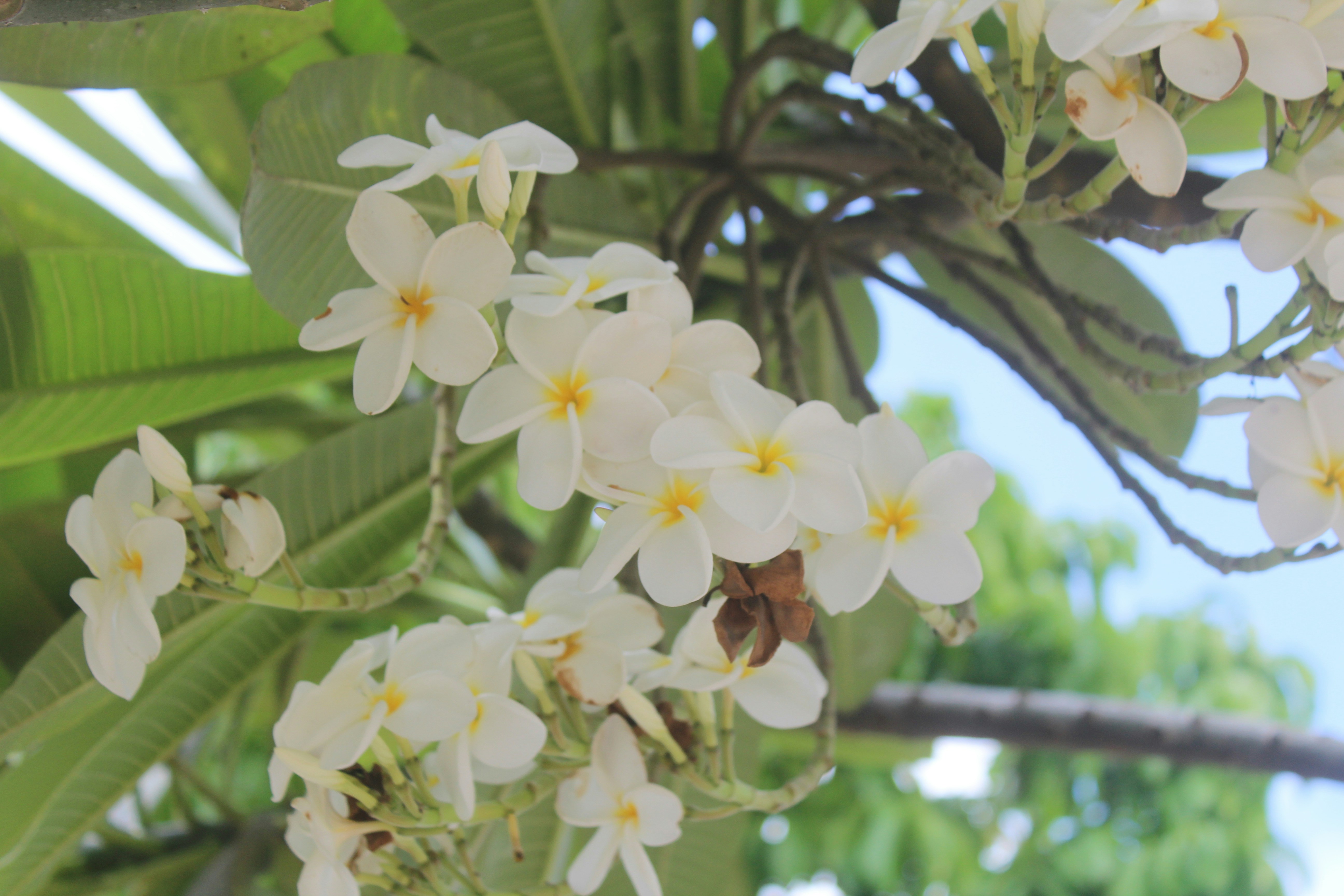 Free Unsplash photo from luis palacio