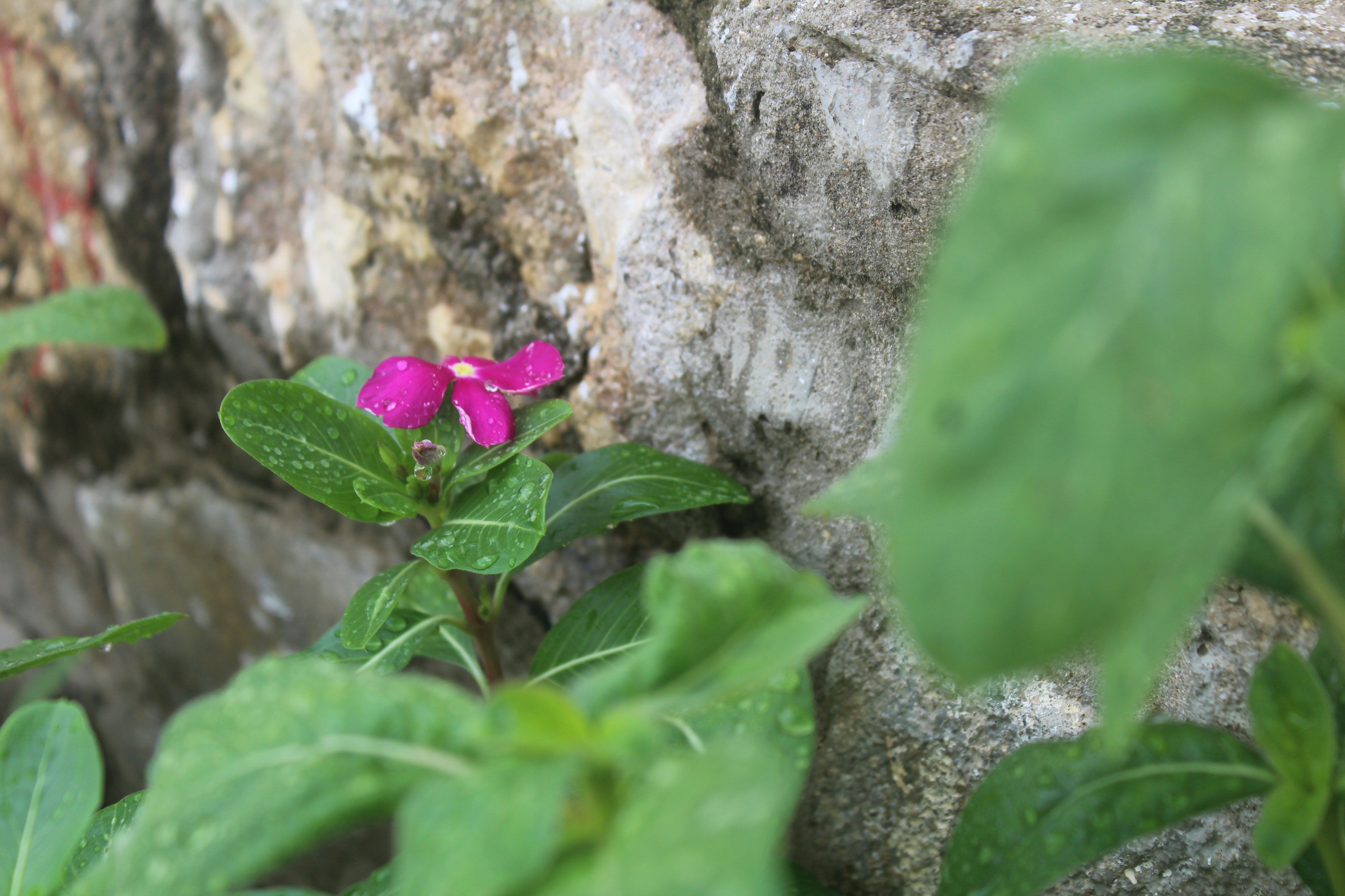 Free Unsplash photo from luis palacio