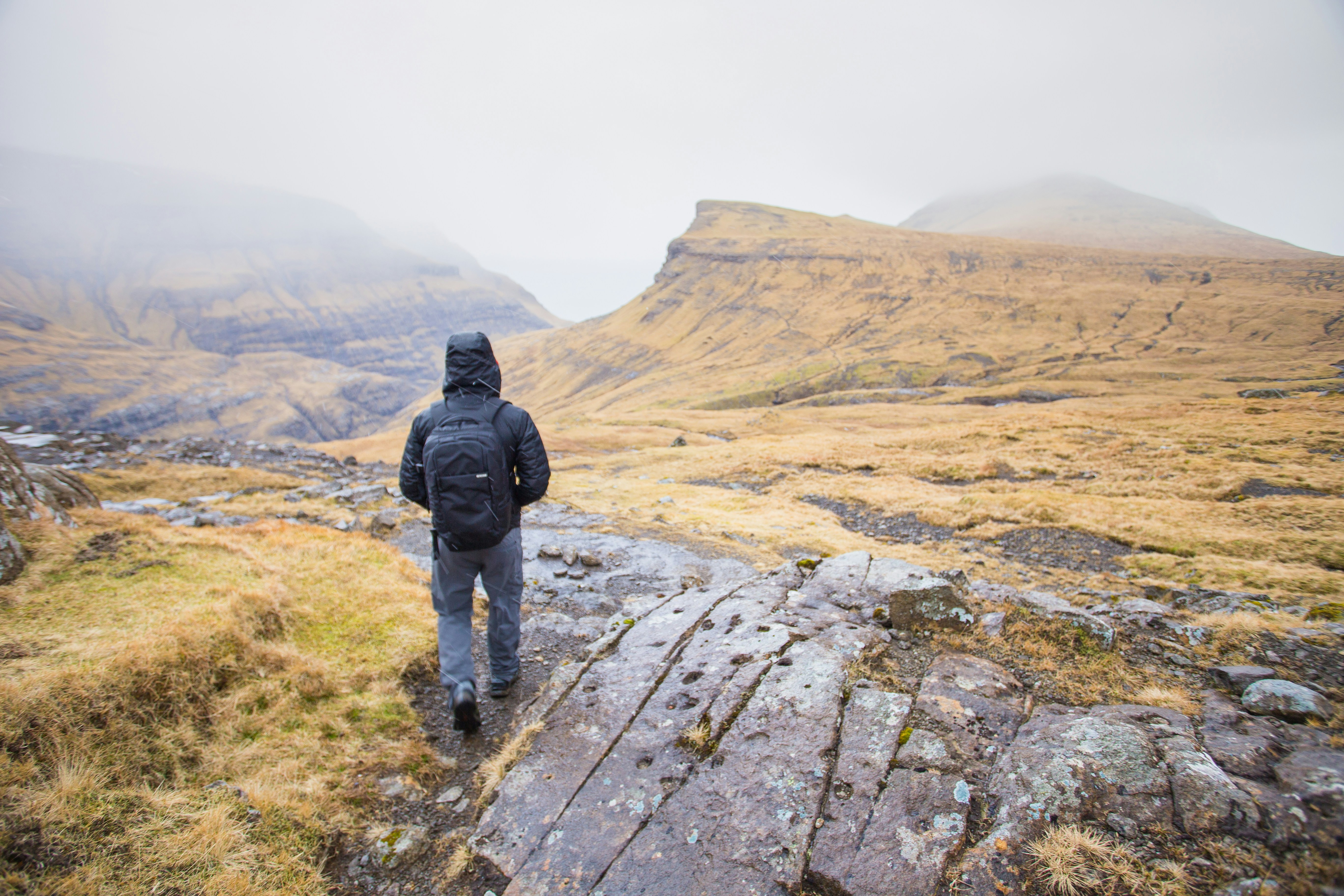 Free Unsplash photo from Melissa Regina