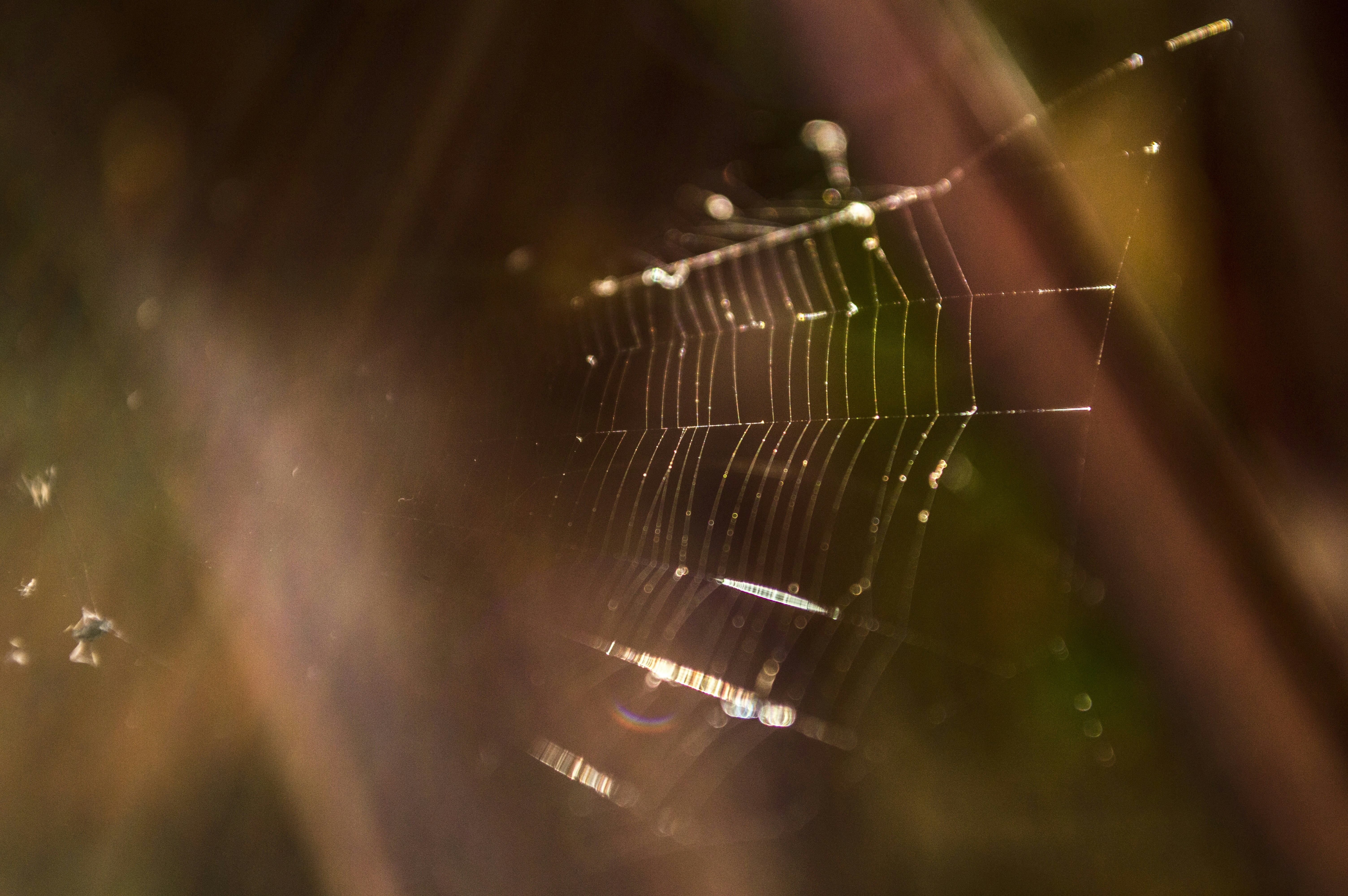 Free Unsplash photo from Ariel Schmunck