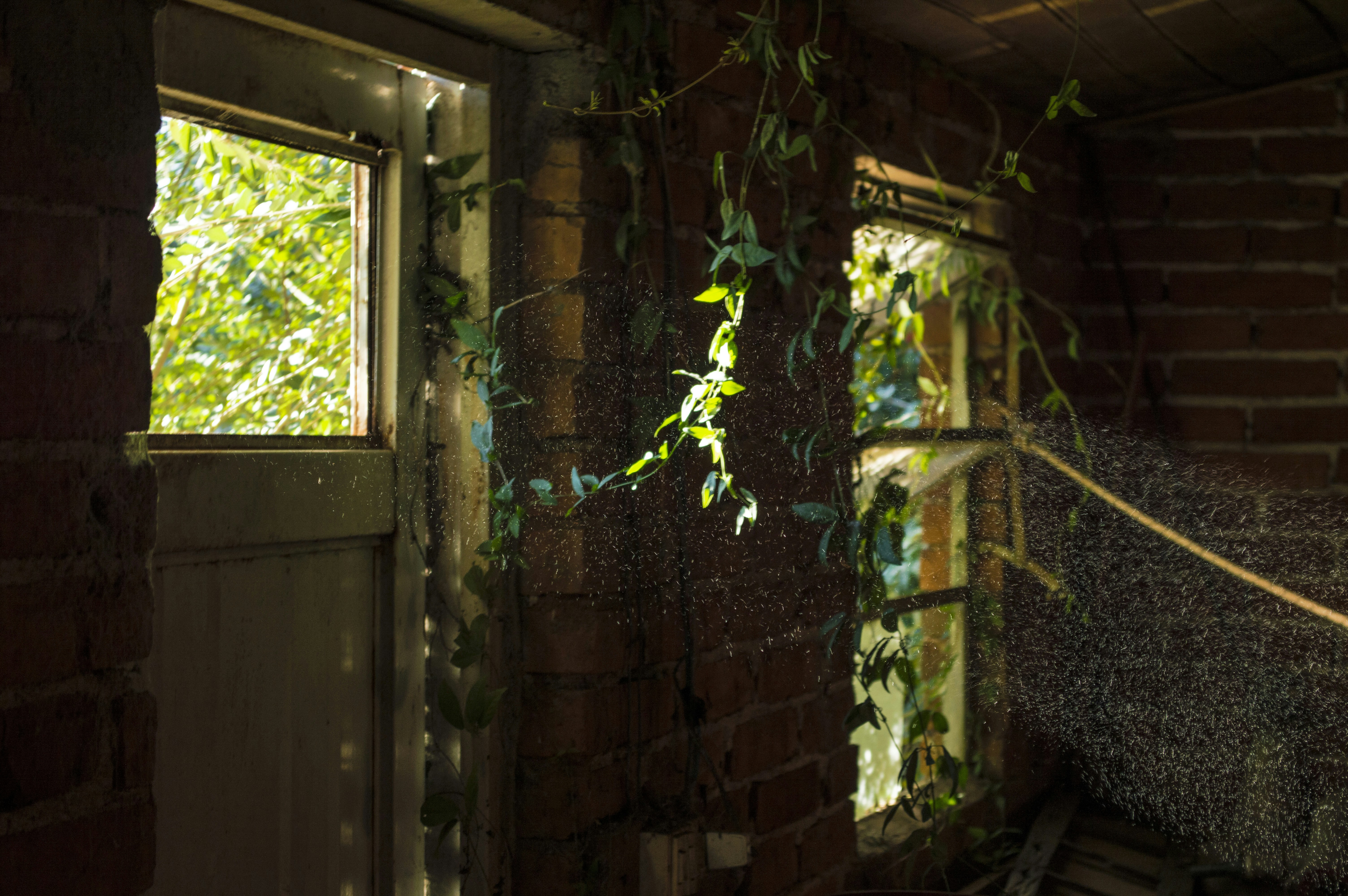 Free Unsplash photo from Ariel Schmunck