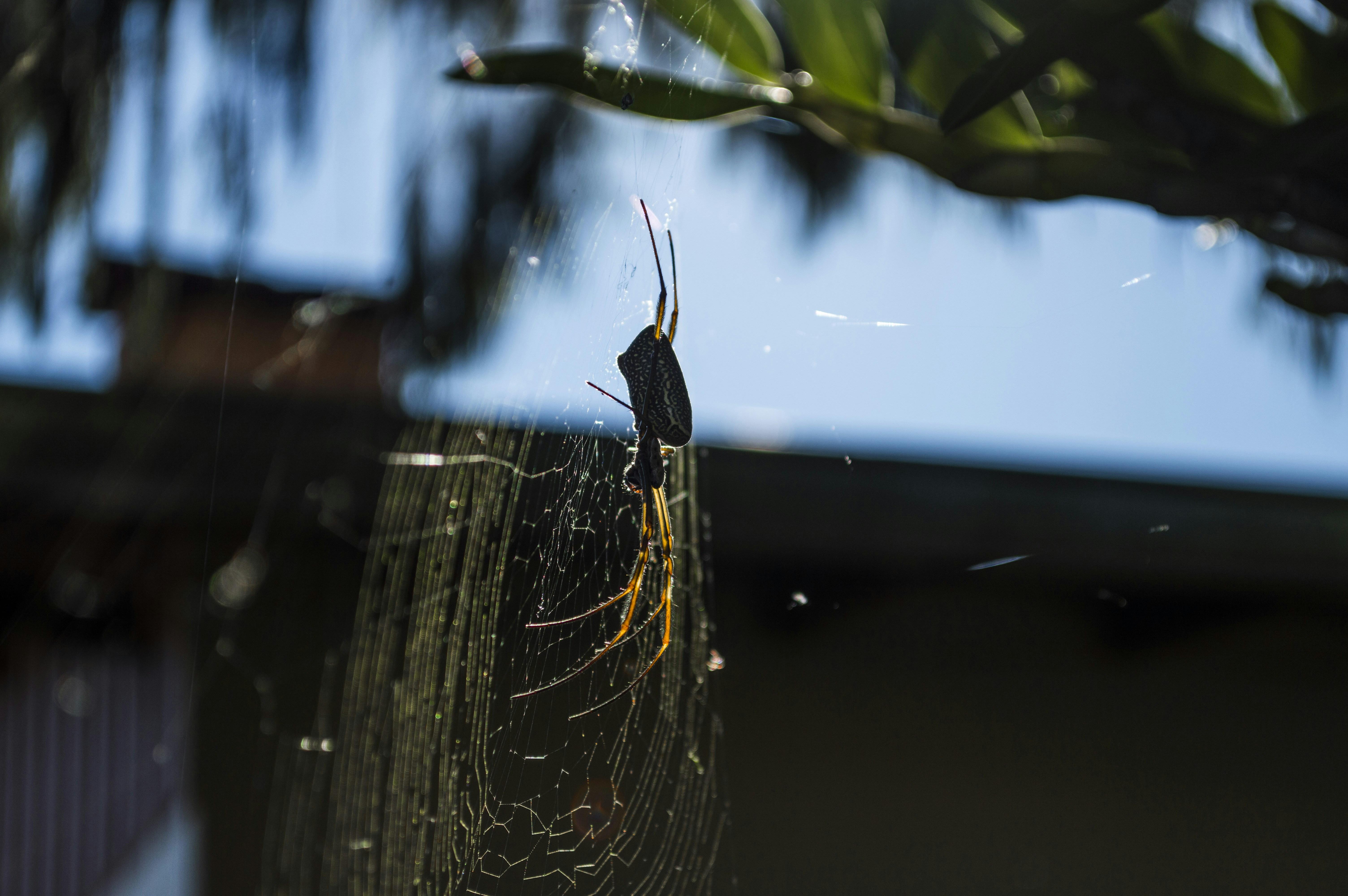 Free Unsplash photo from Ariel Schmunck