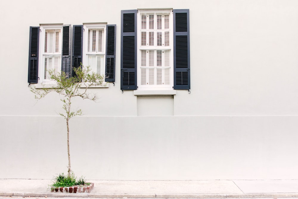 photo of three glass windows with white wooden frames