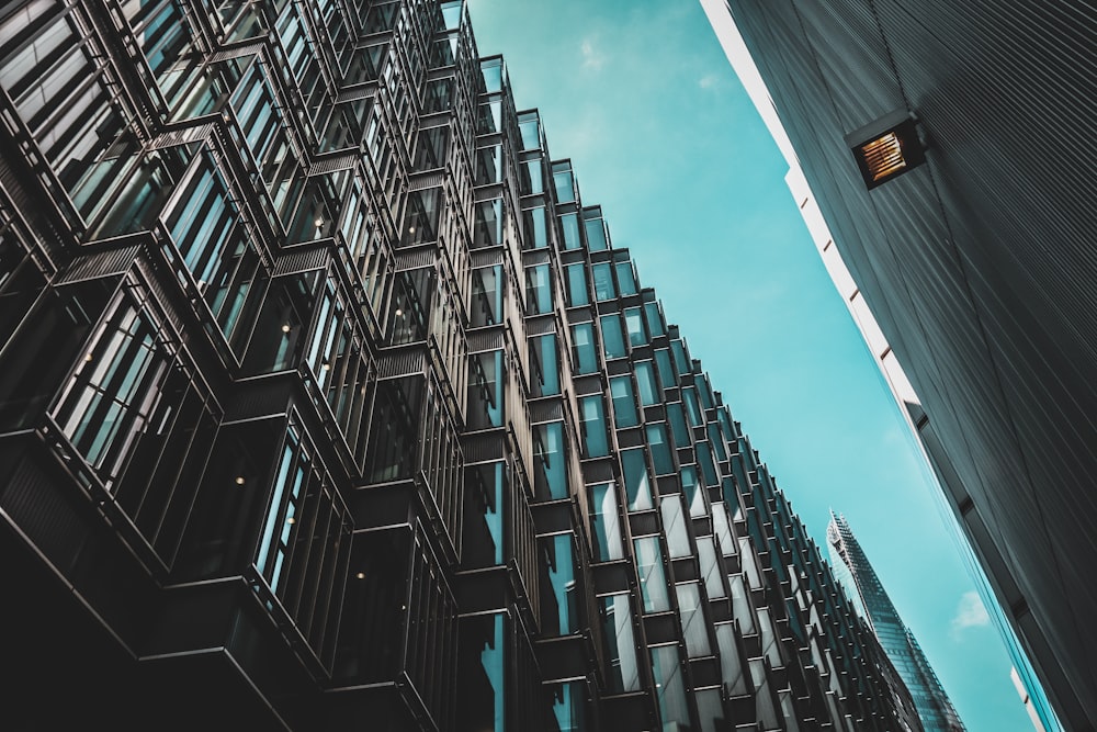 low angle photo of high-rise building