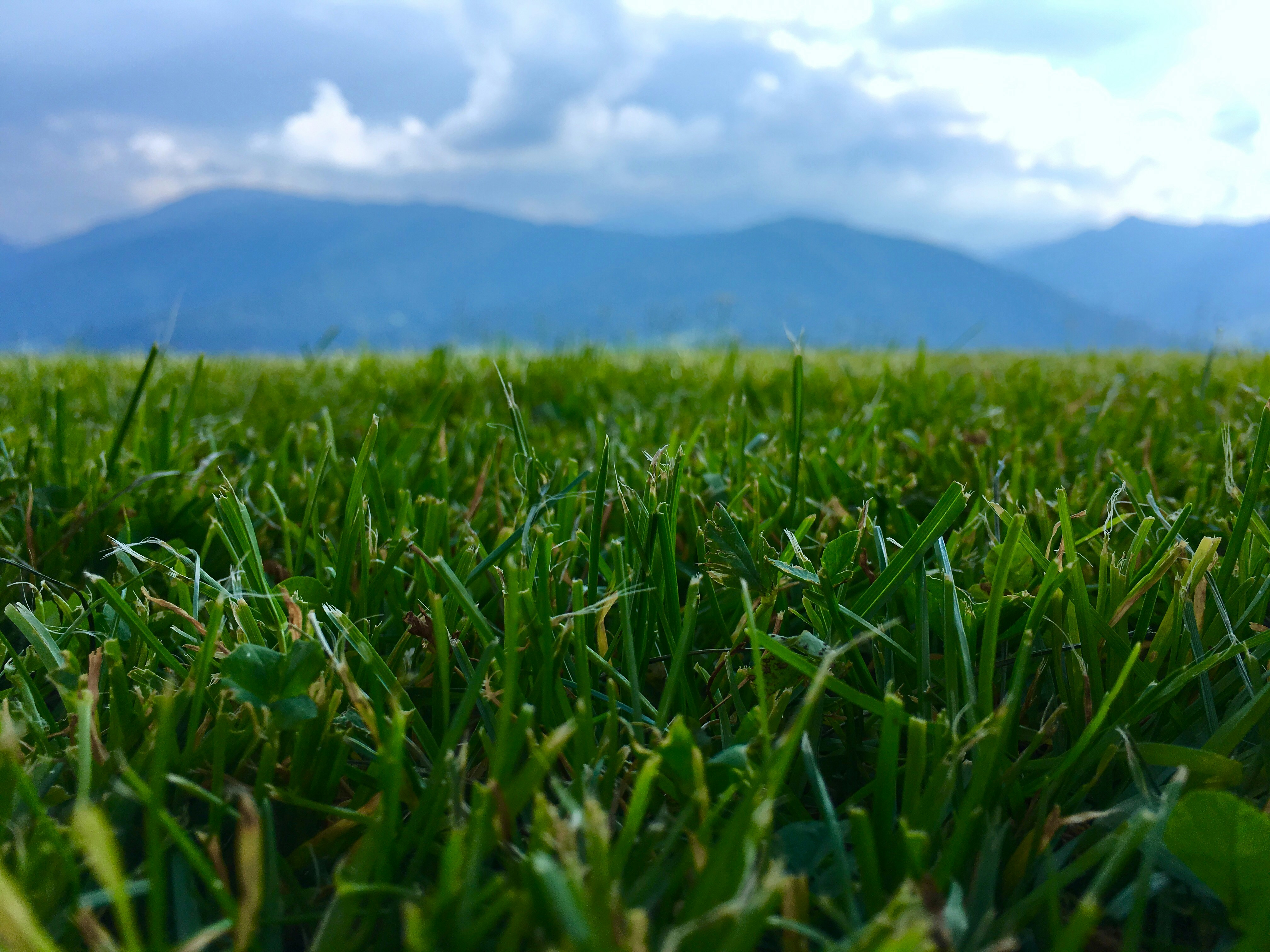 Free Unsplash photo from Stephan Seeber